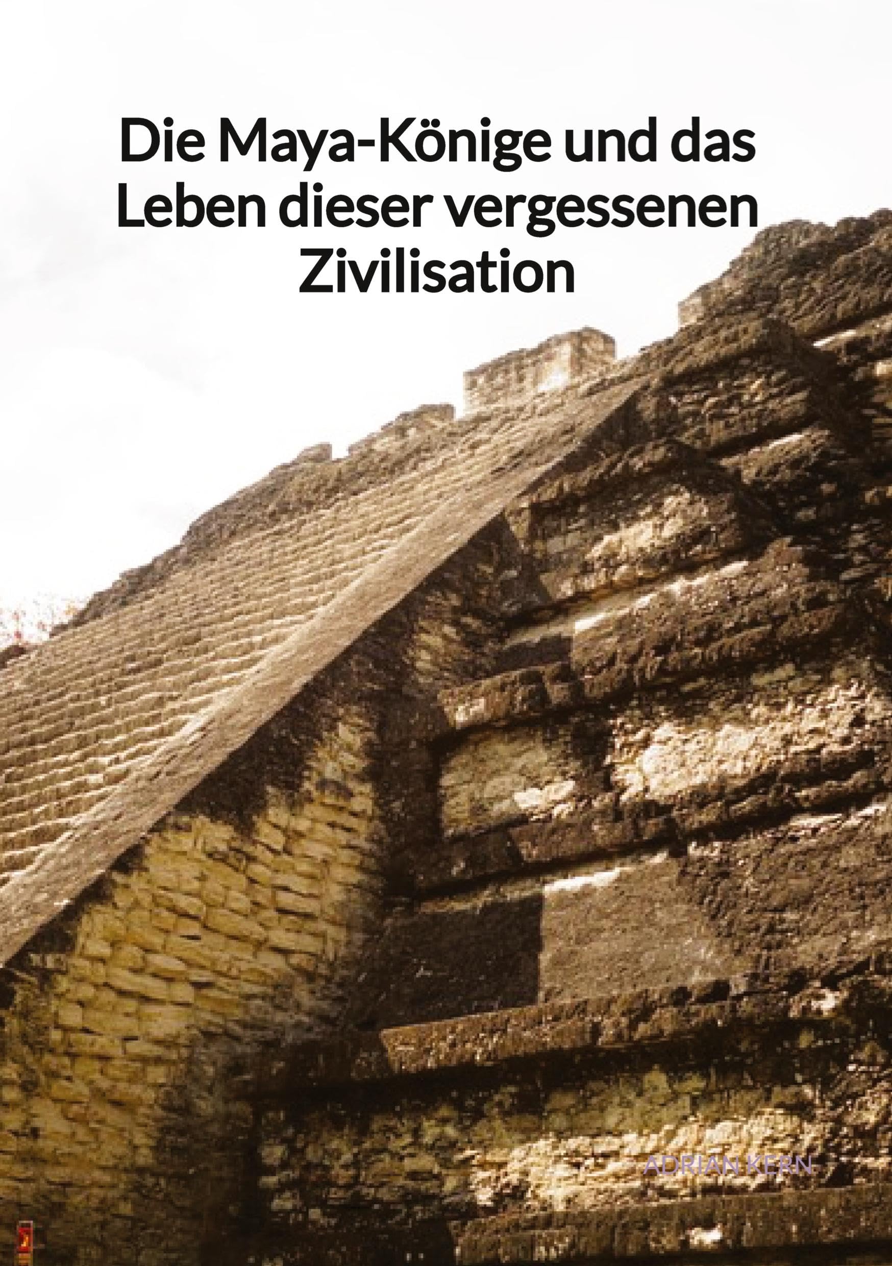 Die Maya-Könige und das Leben dieser vergessenen Zivilisation: DE Social Sciences