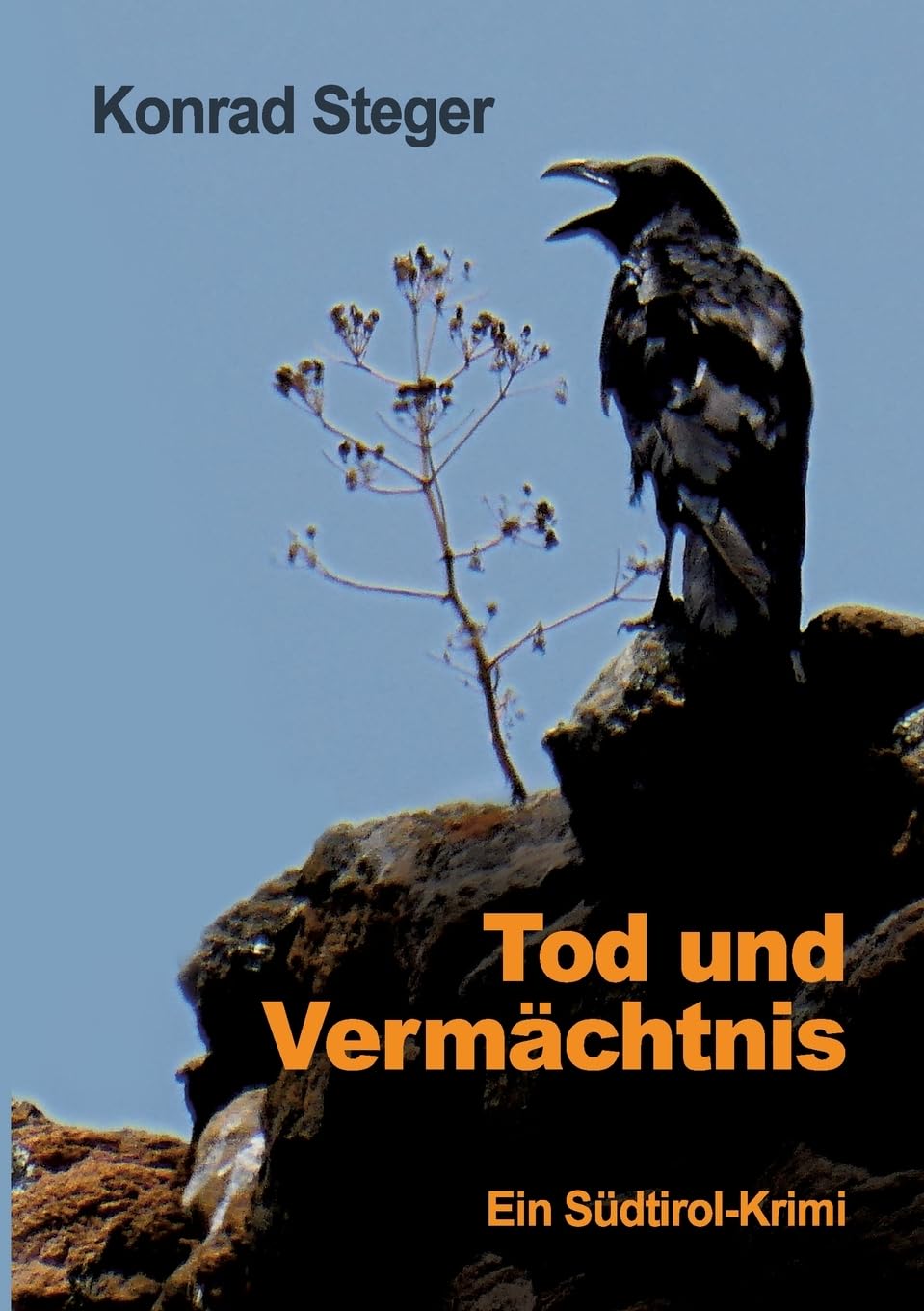 Tod und Vermächtnis: Ein Südtirol-Krimi Historical Fiction