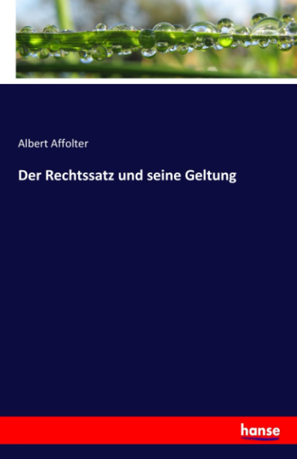 Der Rechtssatz und seine Geltung Law