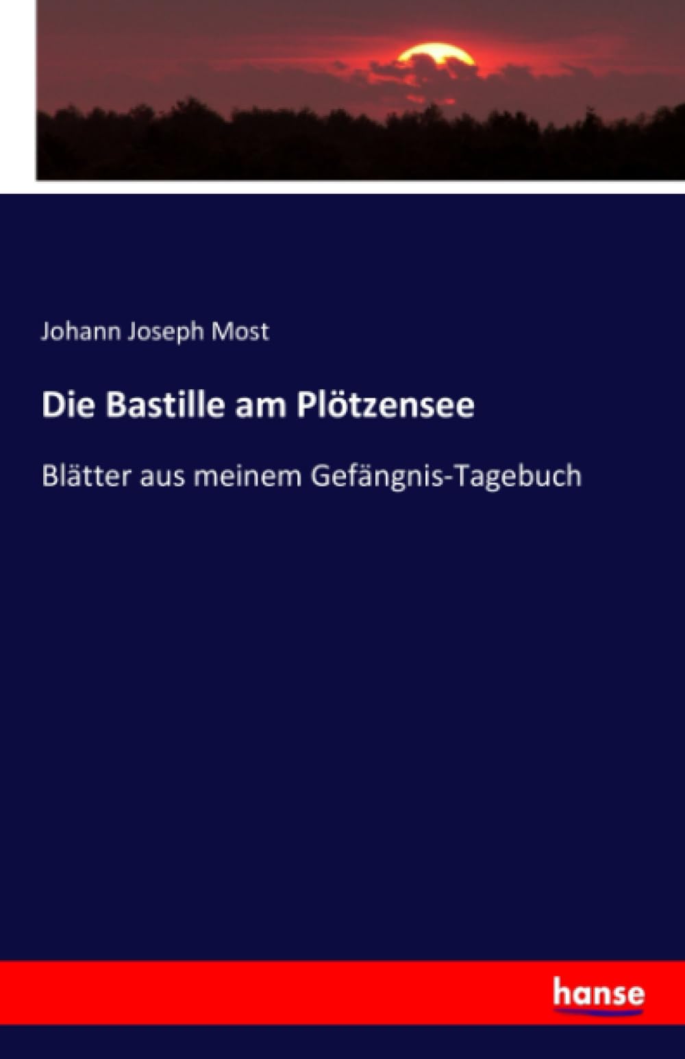 Die Bastille am Plötzensee: Blätter aus meinem Gefängnis-Tagebuch: Blätter aus meinem Gefängnis-Tagebuch.DE Books