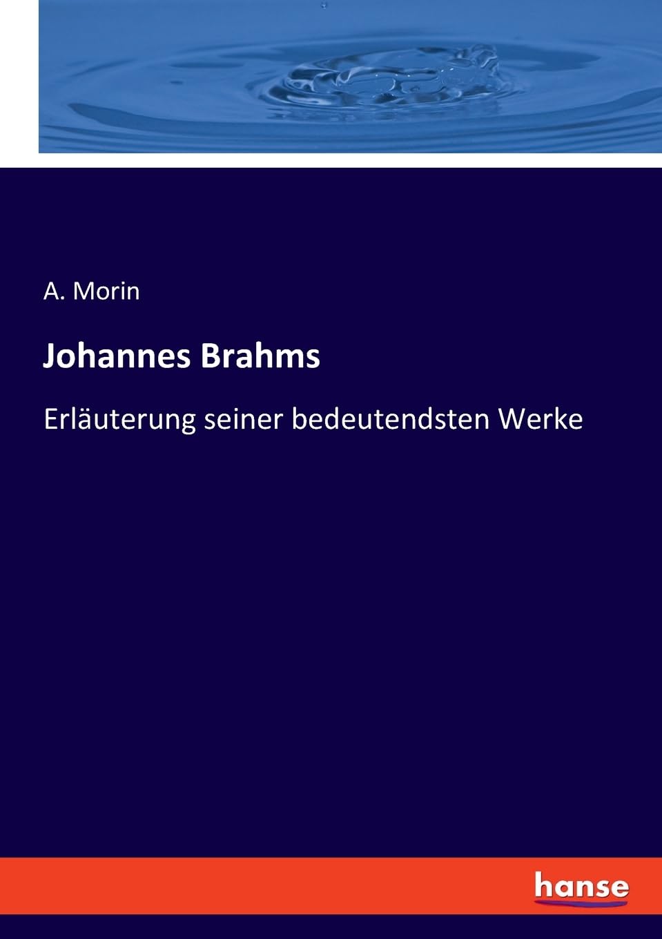 Johannes Brahms: Erläuterung seiner bedeutendsten Werke Books