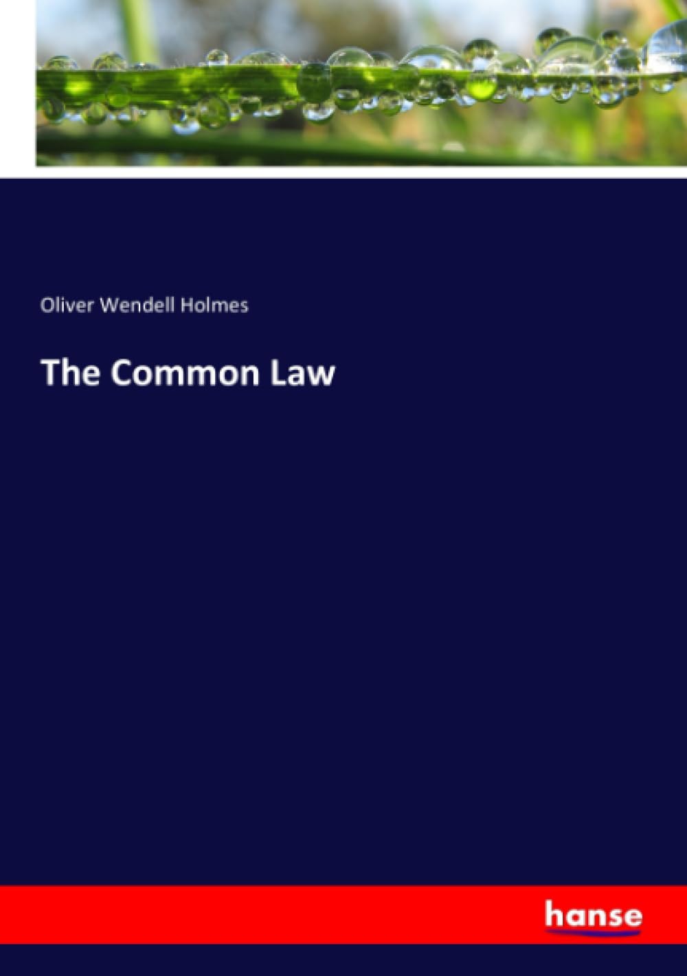 The Common Law Law