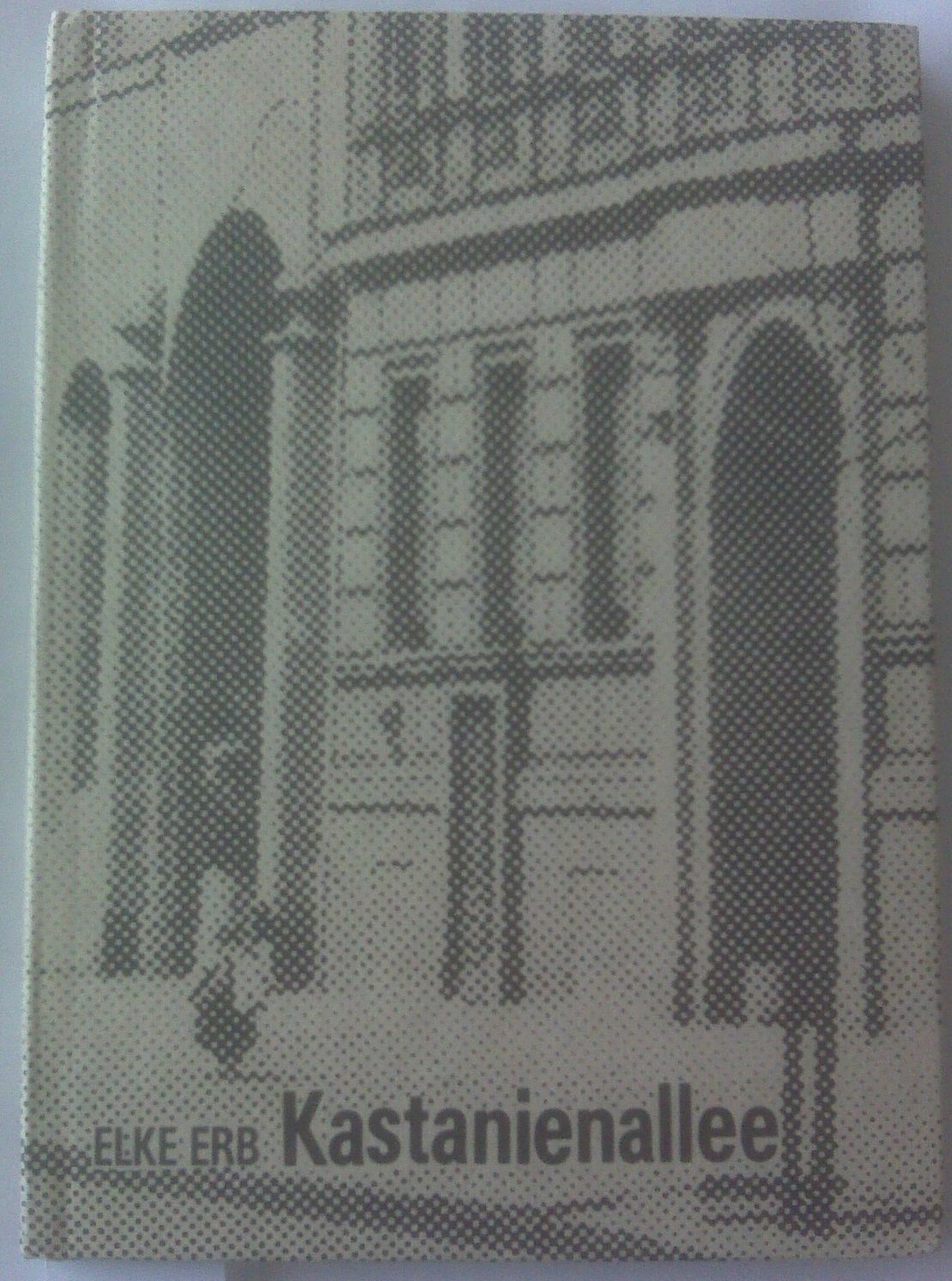 Kastanienallee: Texte und Kommentare Books