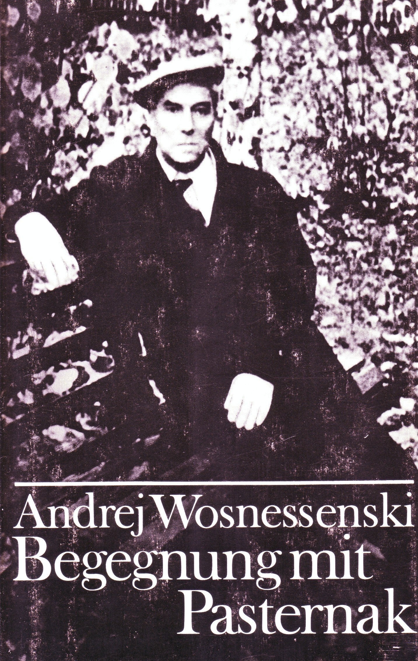Begegnung mit Pasternak: Ausgewählte Prosa Foreign Languages ​​& Dictionaries