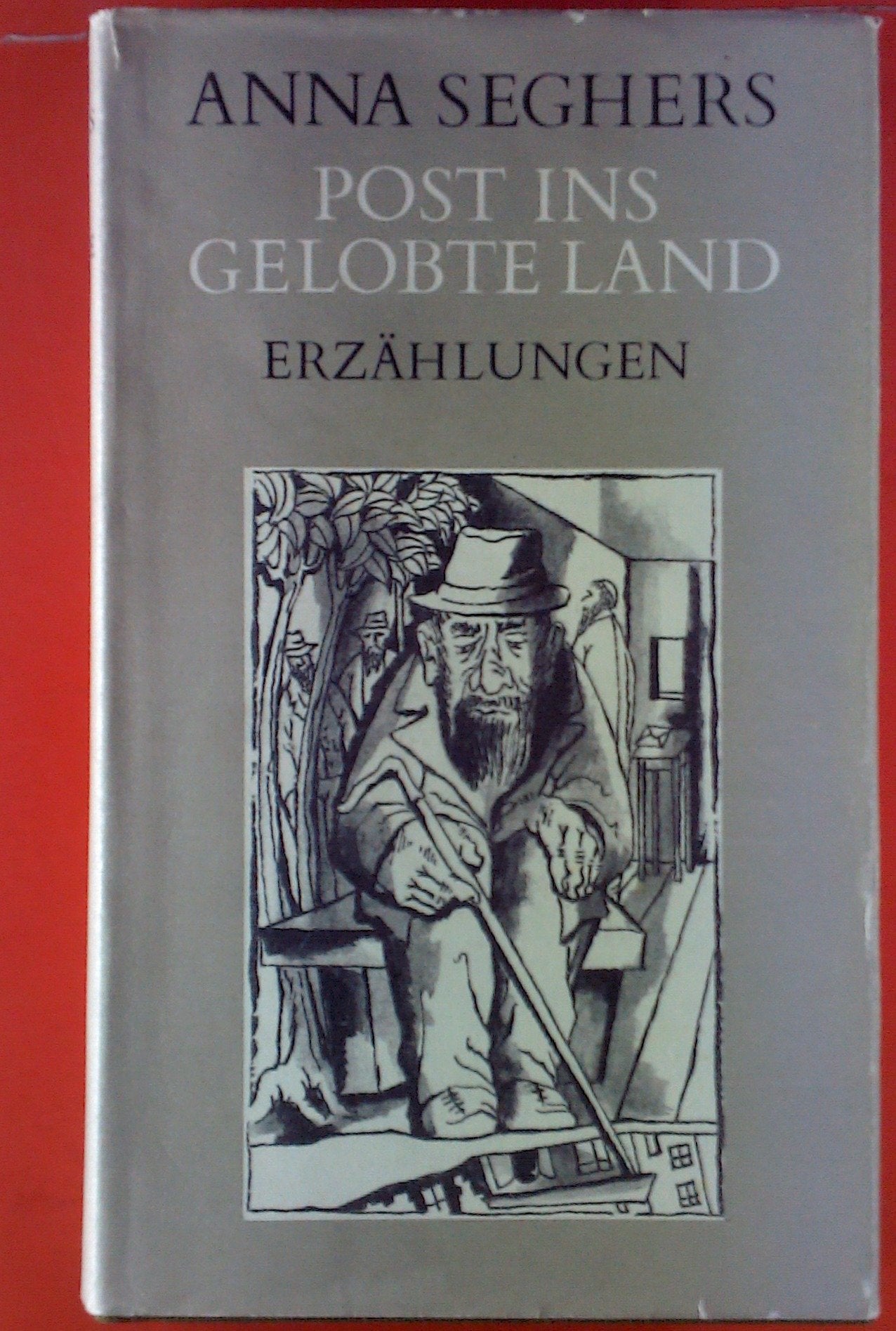 Post ins Gelobte Land: Erzählungen Books