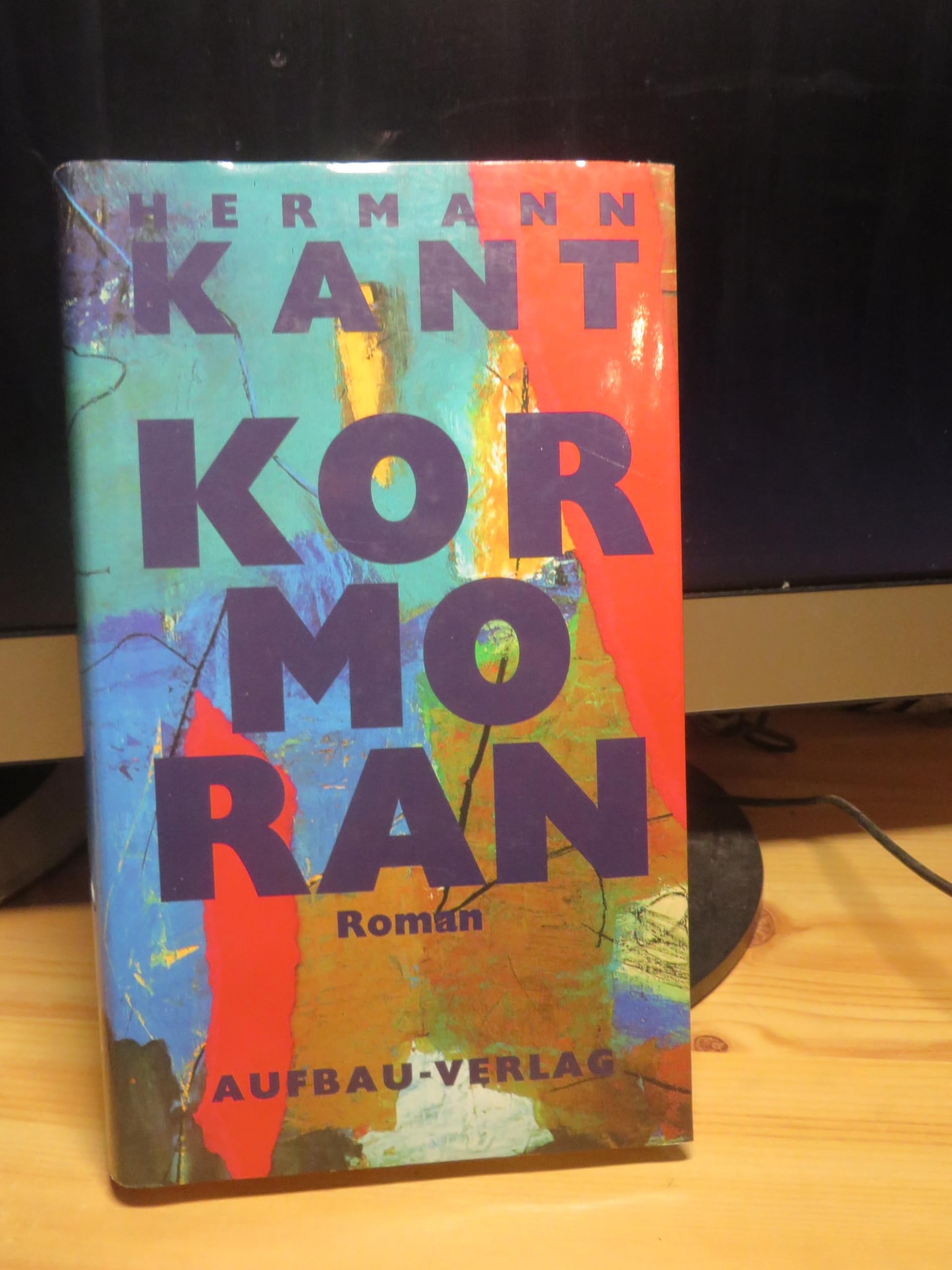 Kormoran: Roman Contemporary literature Books