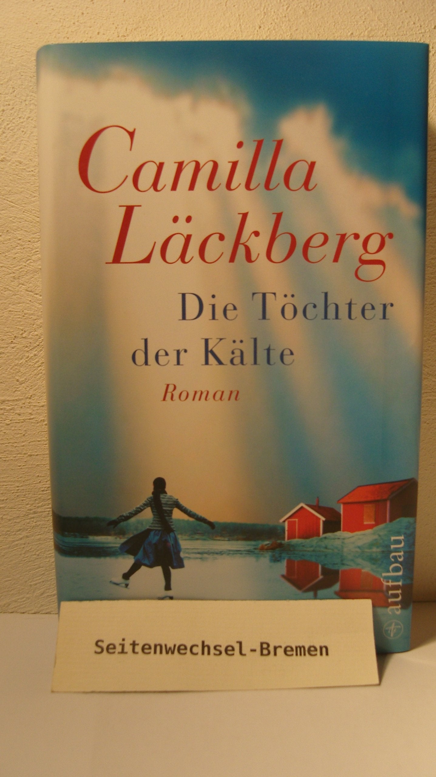 Die Töchter der Kälte: Roman Contemporary literature