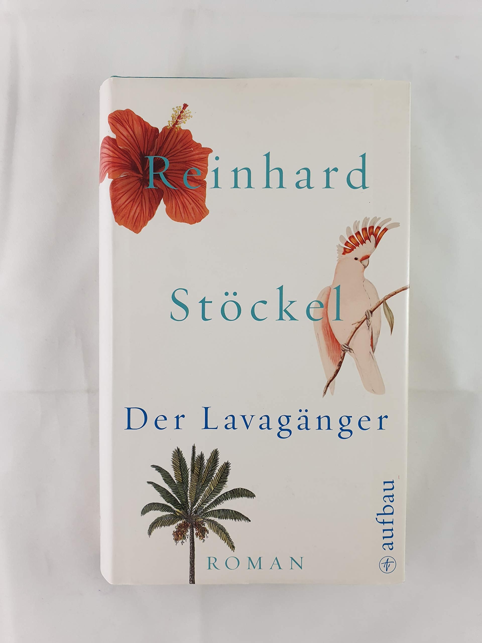 Der Lavagänger: Roman Contemporary literature