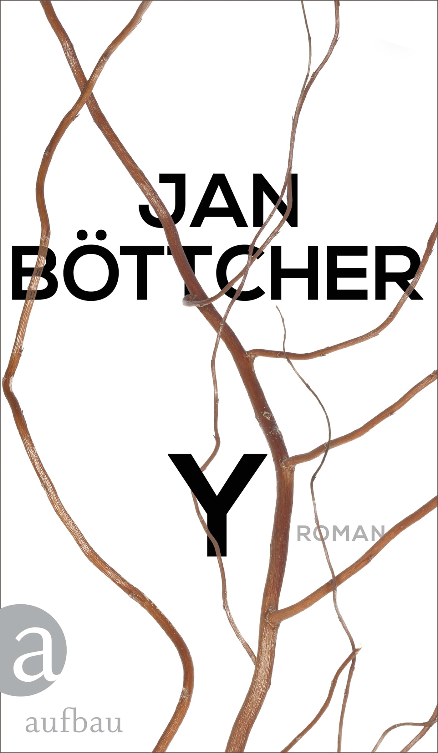Y Contemporary literature Books
