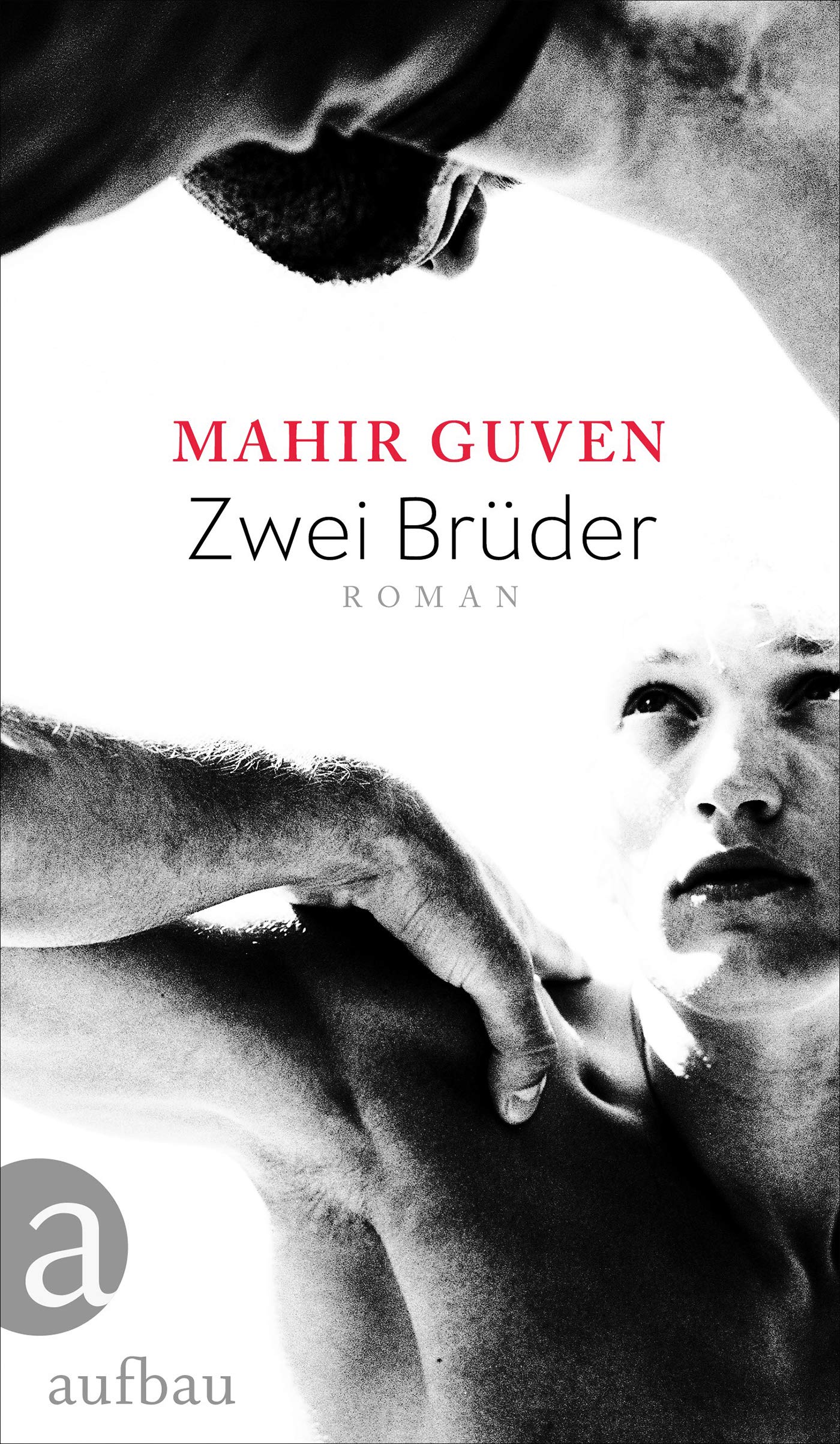 Zwei Brüder Contemporary literature Books