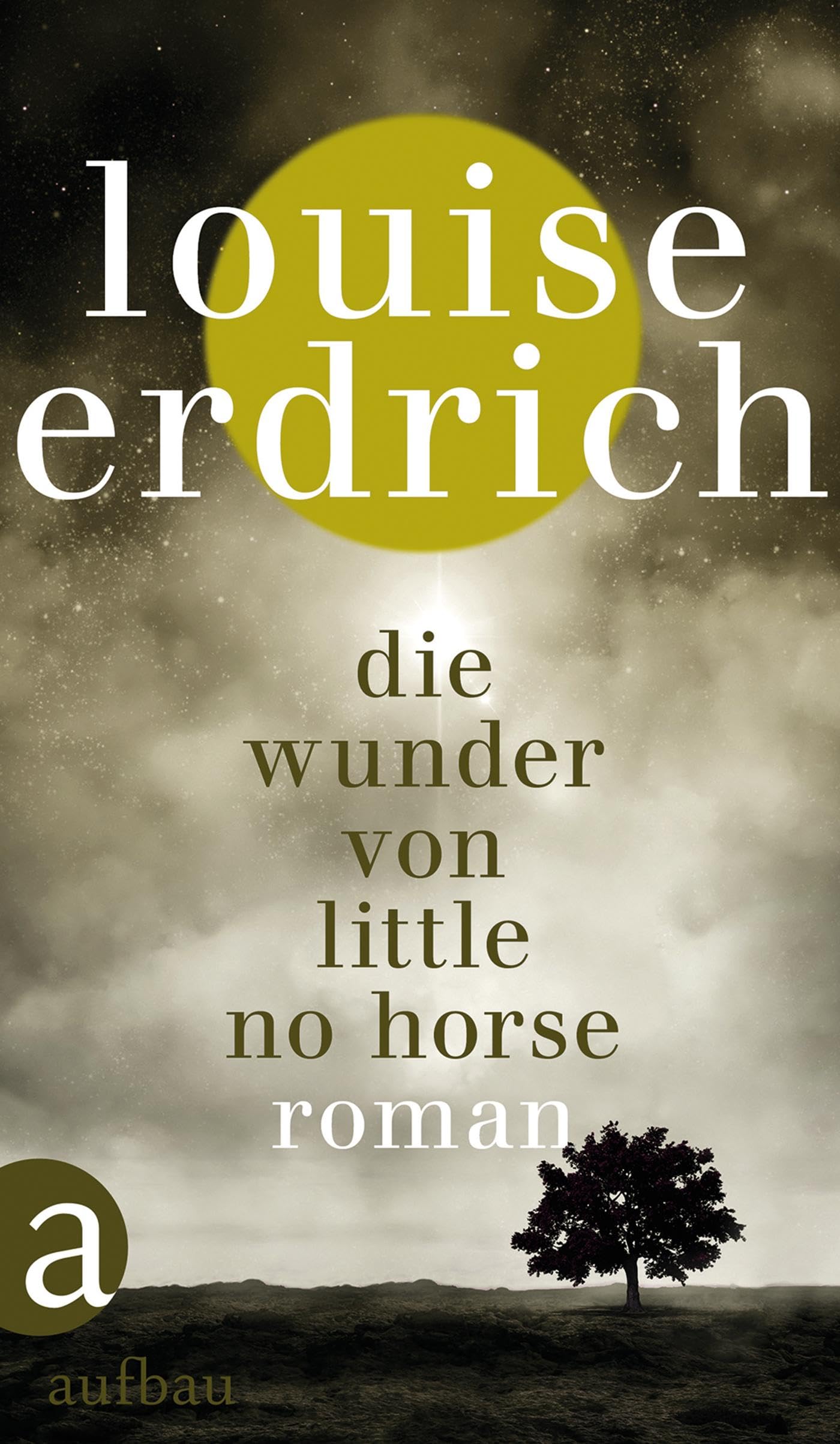 Die Wunder von Little No Horse: Roman Contemporary literature
