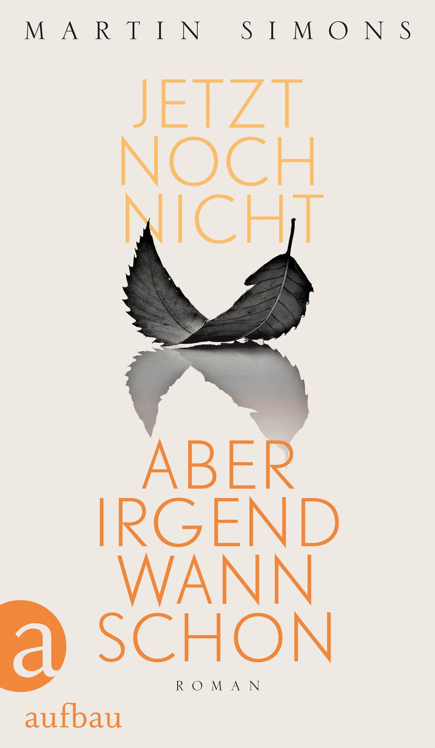 Jetzt noch nicht, aber irgendwann schon: Roman Contemporary literature