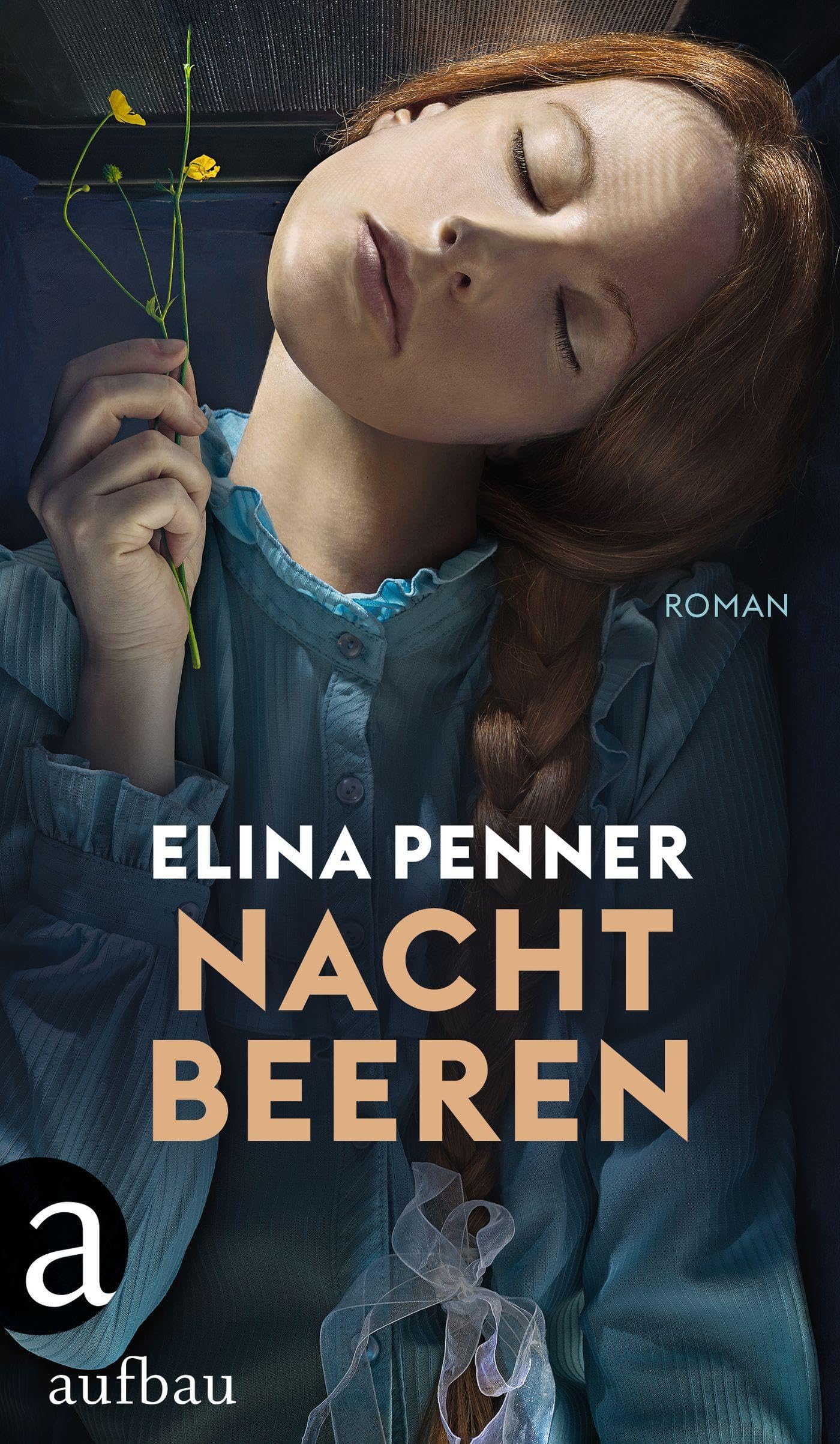 Nachtbeeren Contemporary literature Books