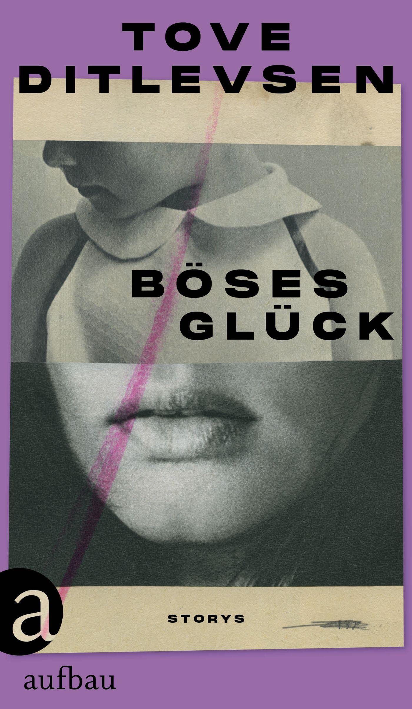 Böses Glück: Storys Essays & Short Stories