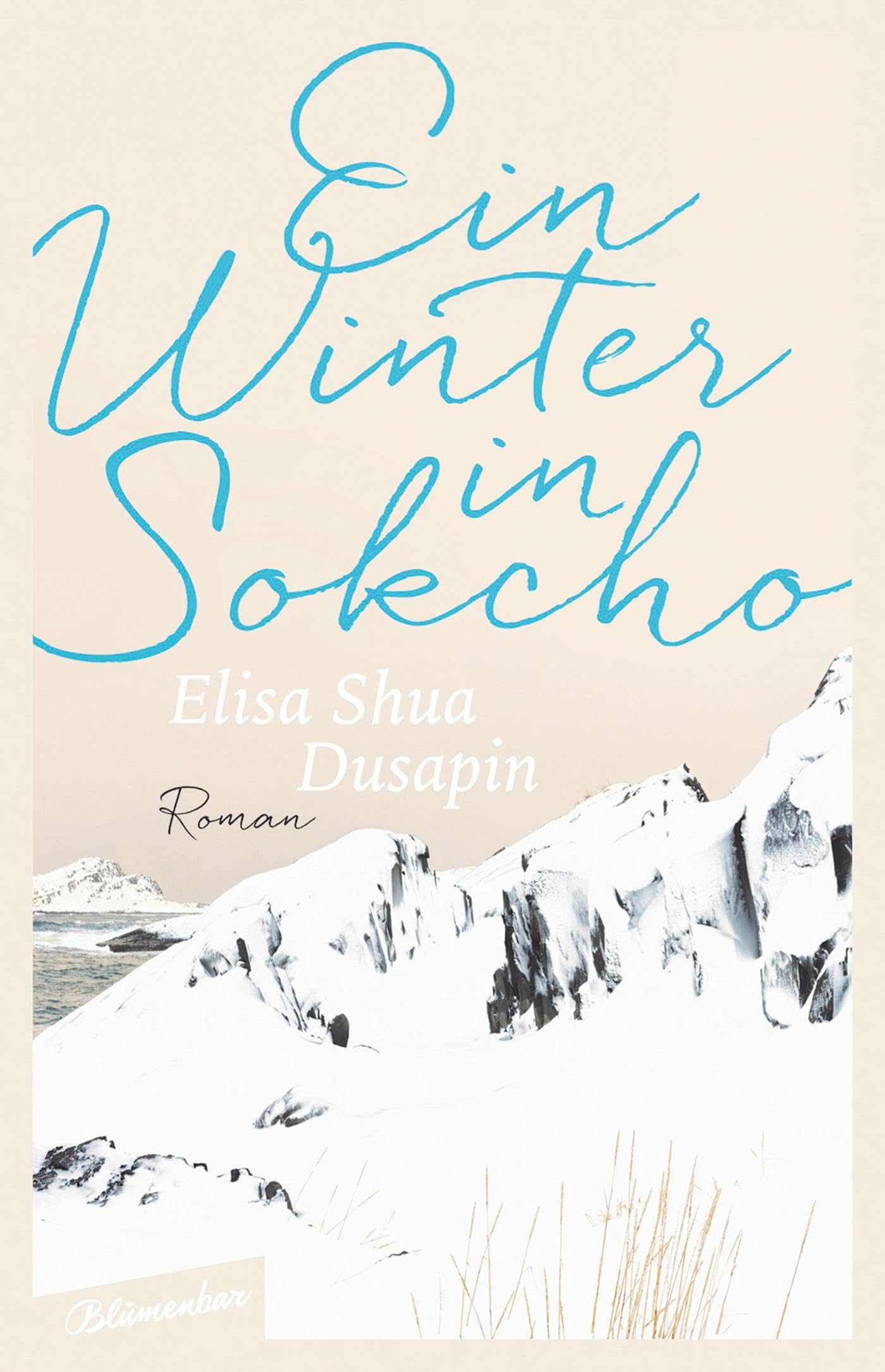 Ein Winter in Sokcho Contemporary literature