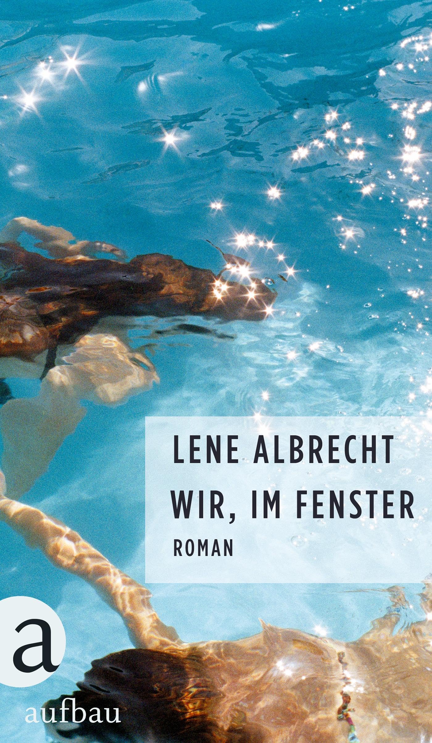 Wir, im Fenster Contemporary literature Books
