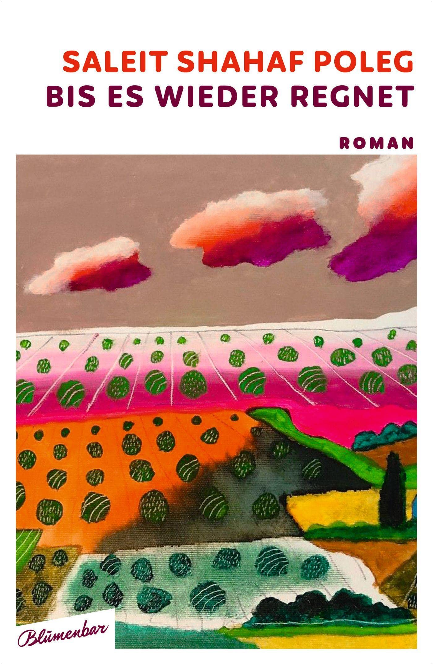 Bis es wieder regnet Contemporary literature