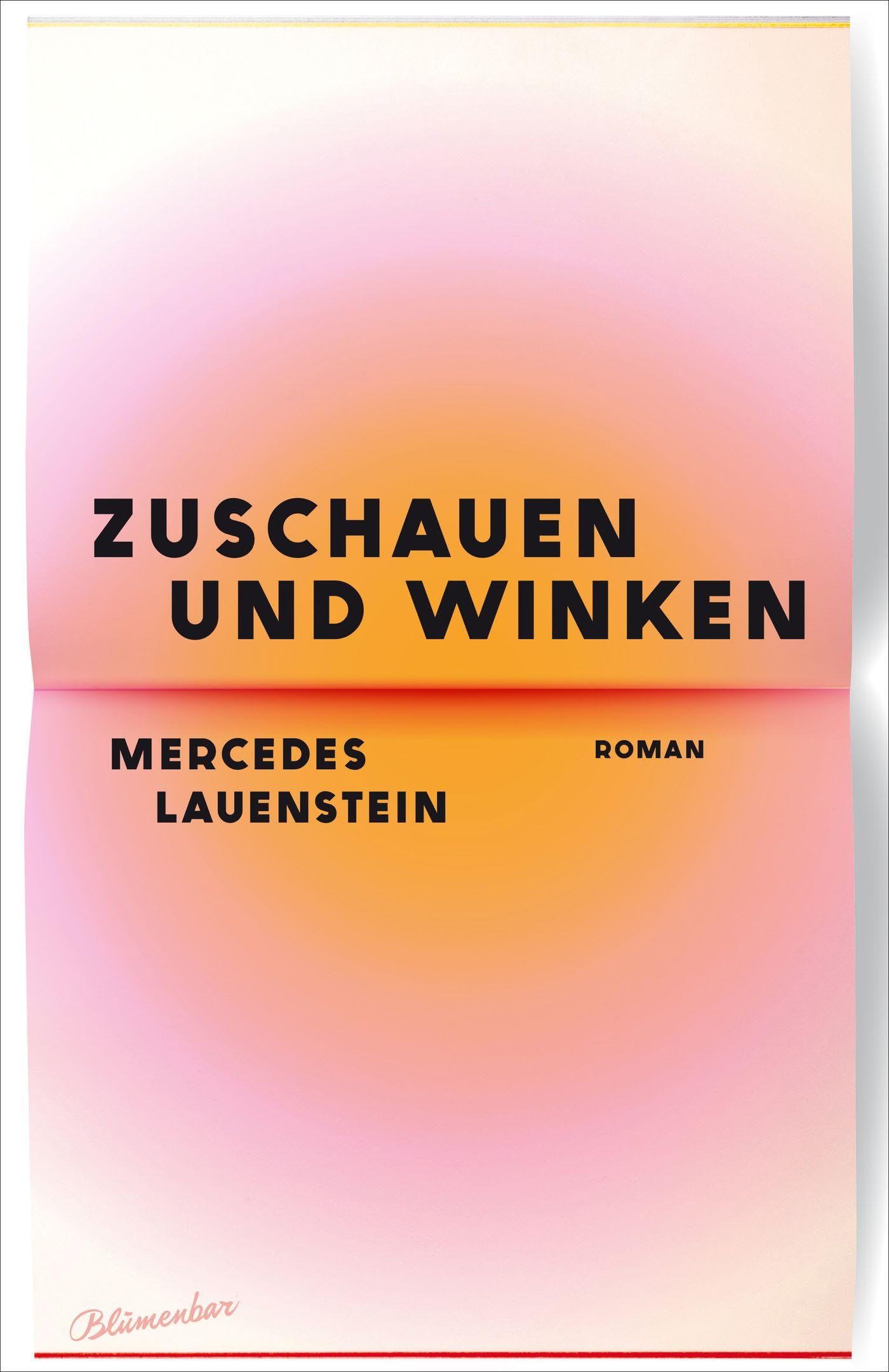 Zuschauen und Winken Contemporary literature