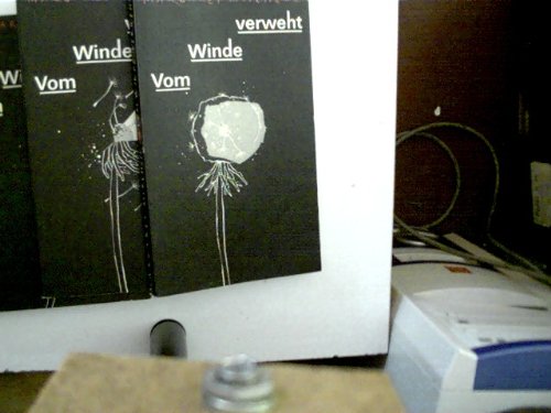 Vom Winde verweht Contemporary literature Books