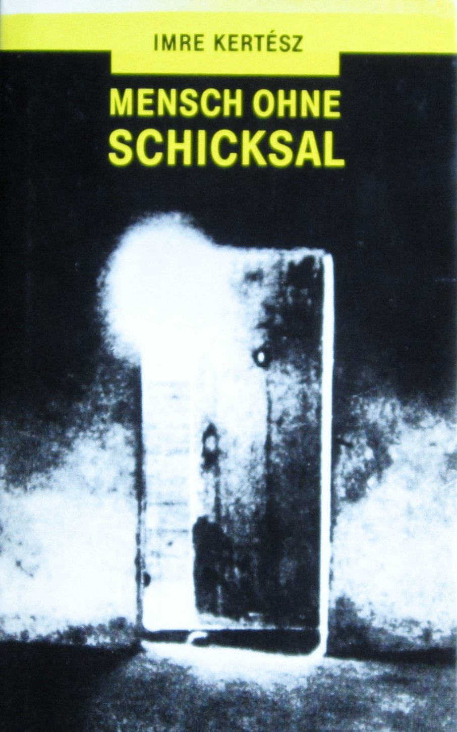Mensch ohne Schicksal. Roman Books