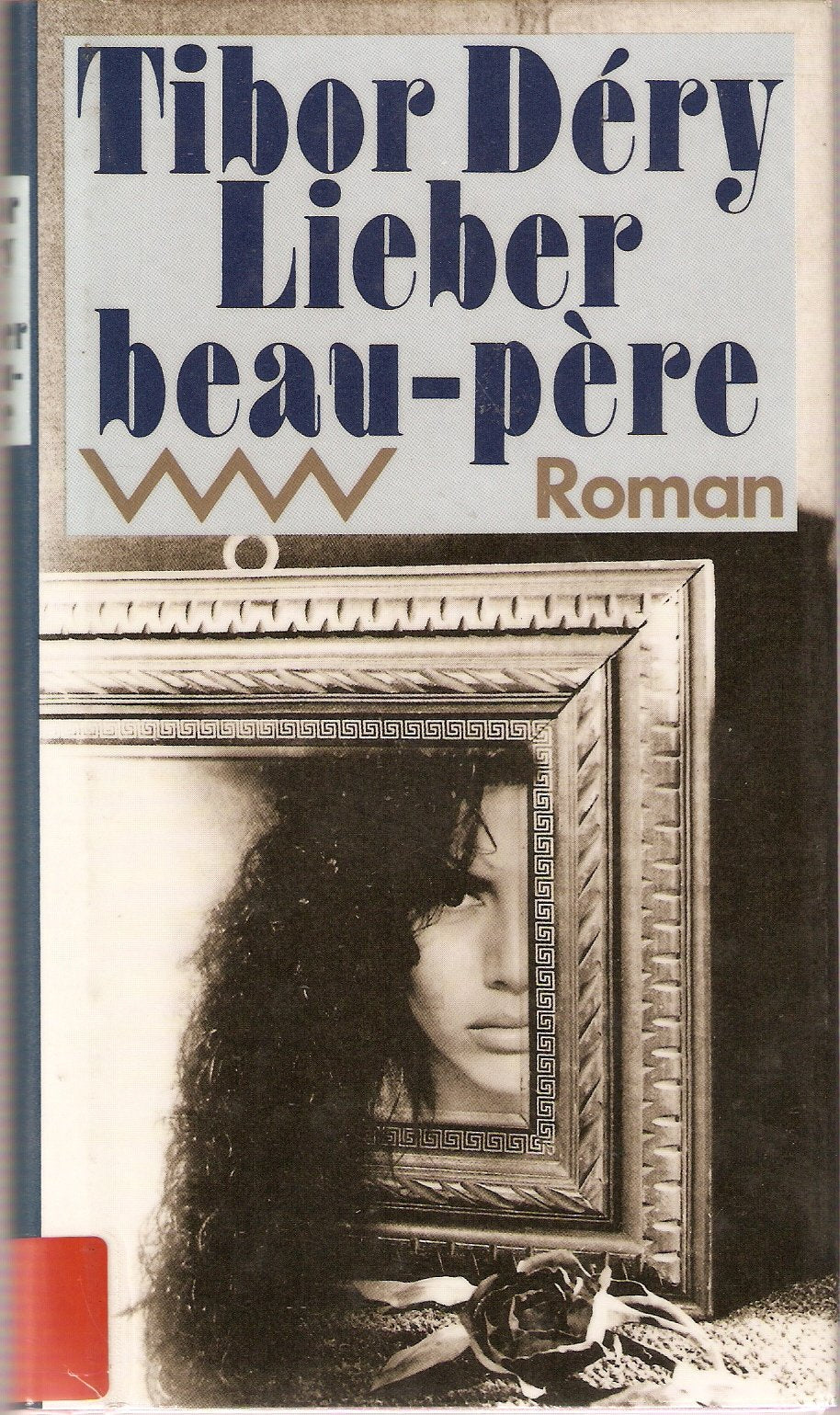 Lieber beau-pere: Roman Books