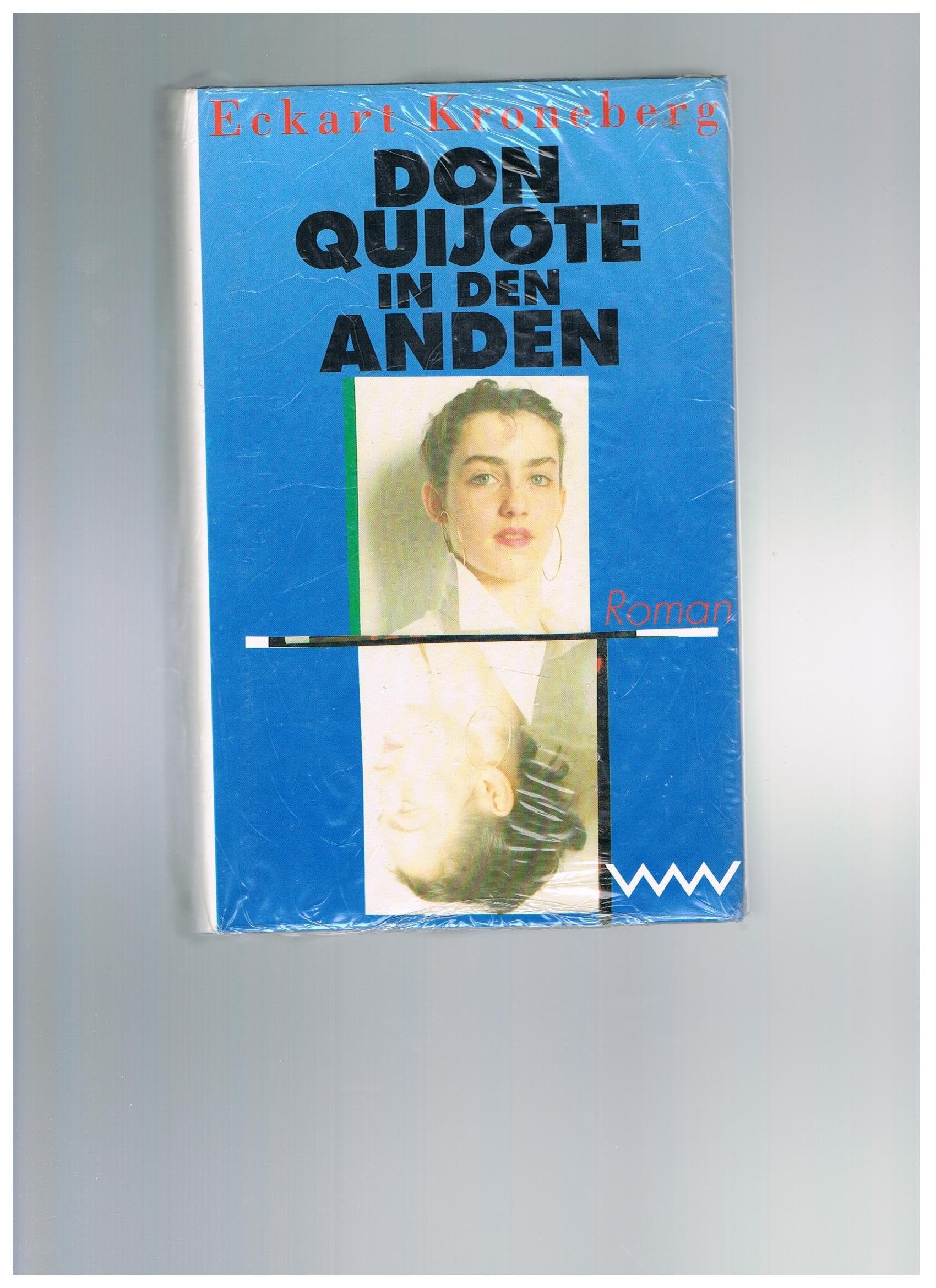 Don Quijote in den Anden: Roman Books