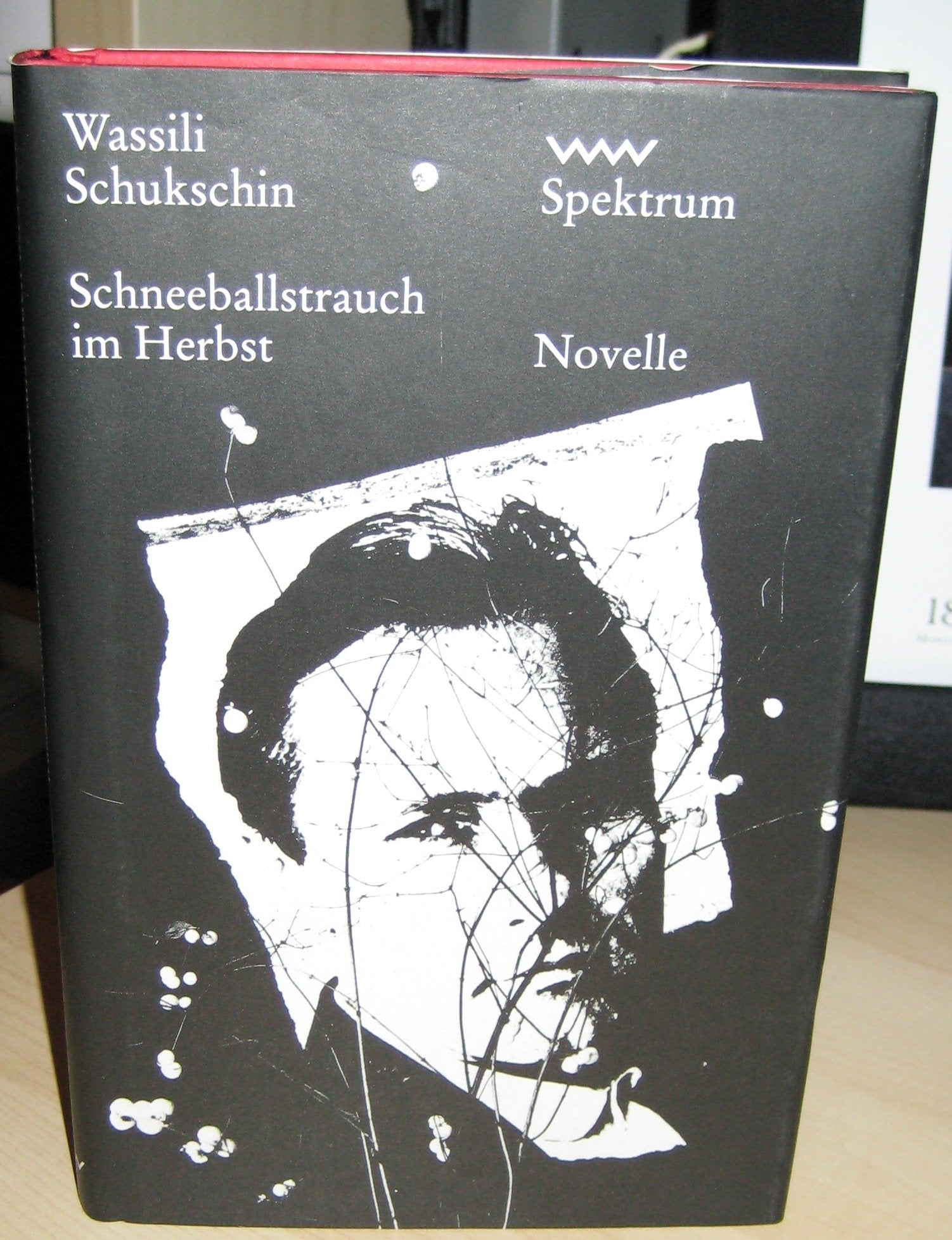 Schneeballstrauch im Herbst: Novelle Books
