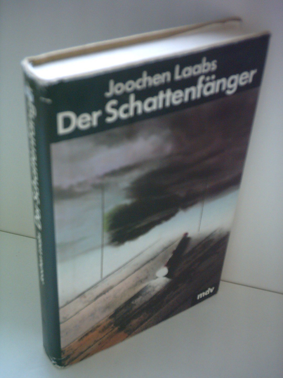 Der Schattenfänger: Roman eines Irrtums Contemporary literature Books