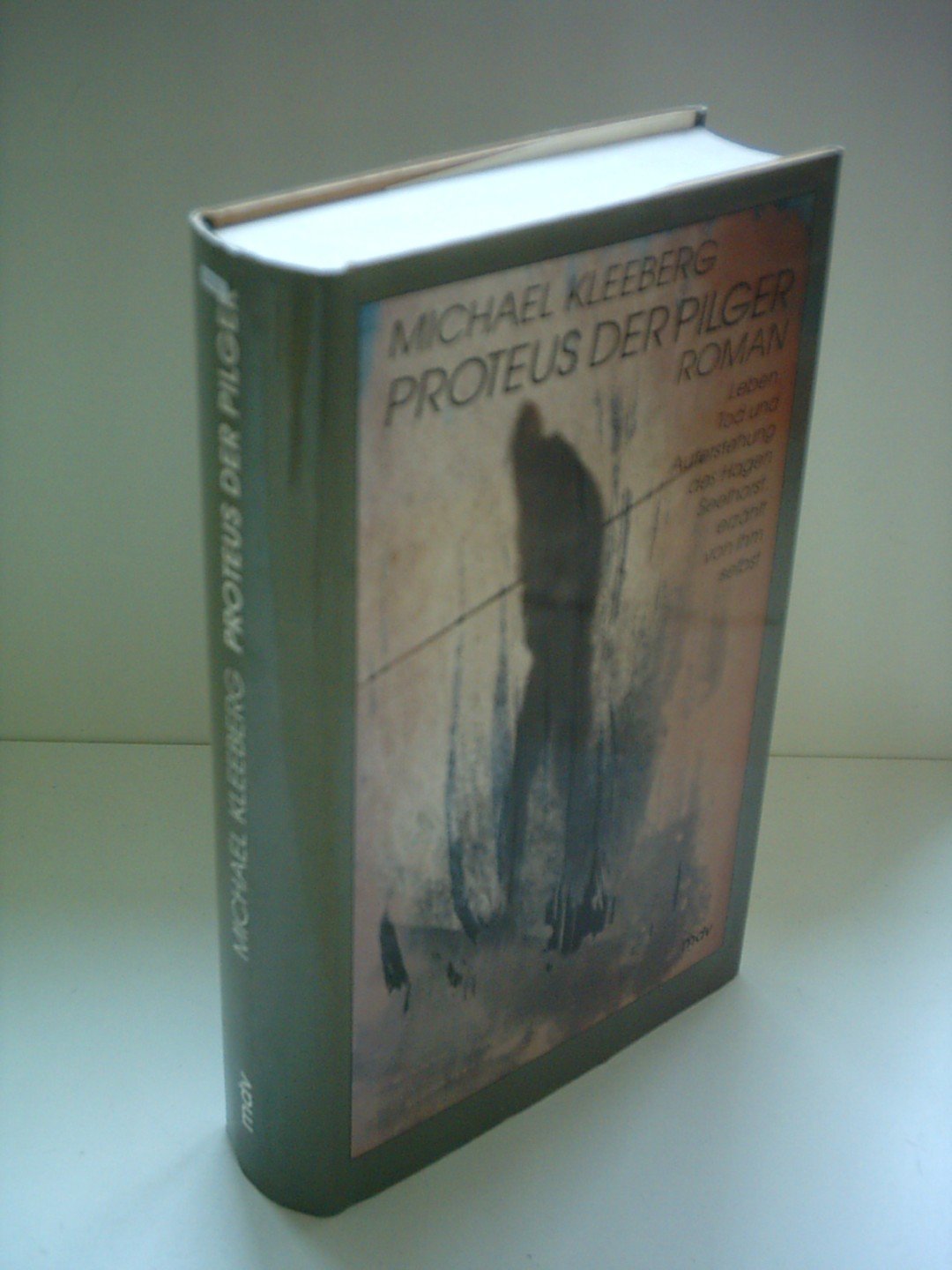 Proteus der Pilger: Leben, Tod und Auferstehung des Hagen Seelhorst, erzählt von ihm selbst: Leben, Tod und Auferstehung des Hagen Seelhorst, erzählt von ihm selbst. Roman Contemporary literature Books