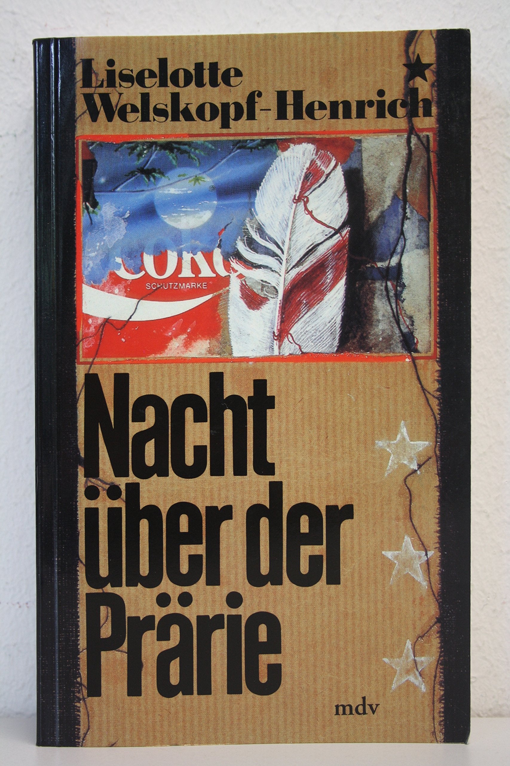 Product Image: Nacht über der Prärie
