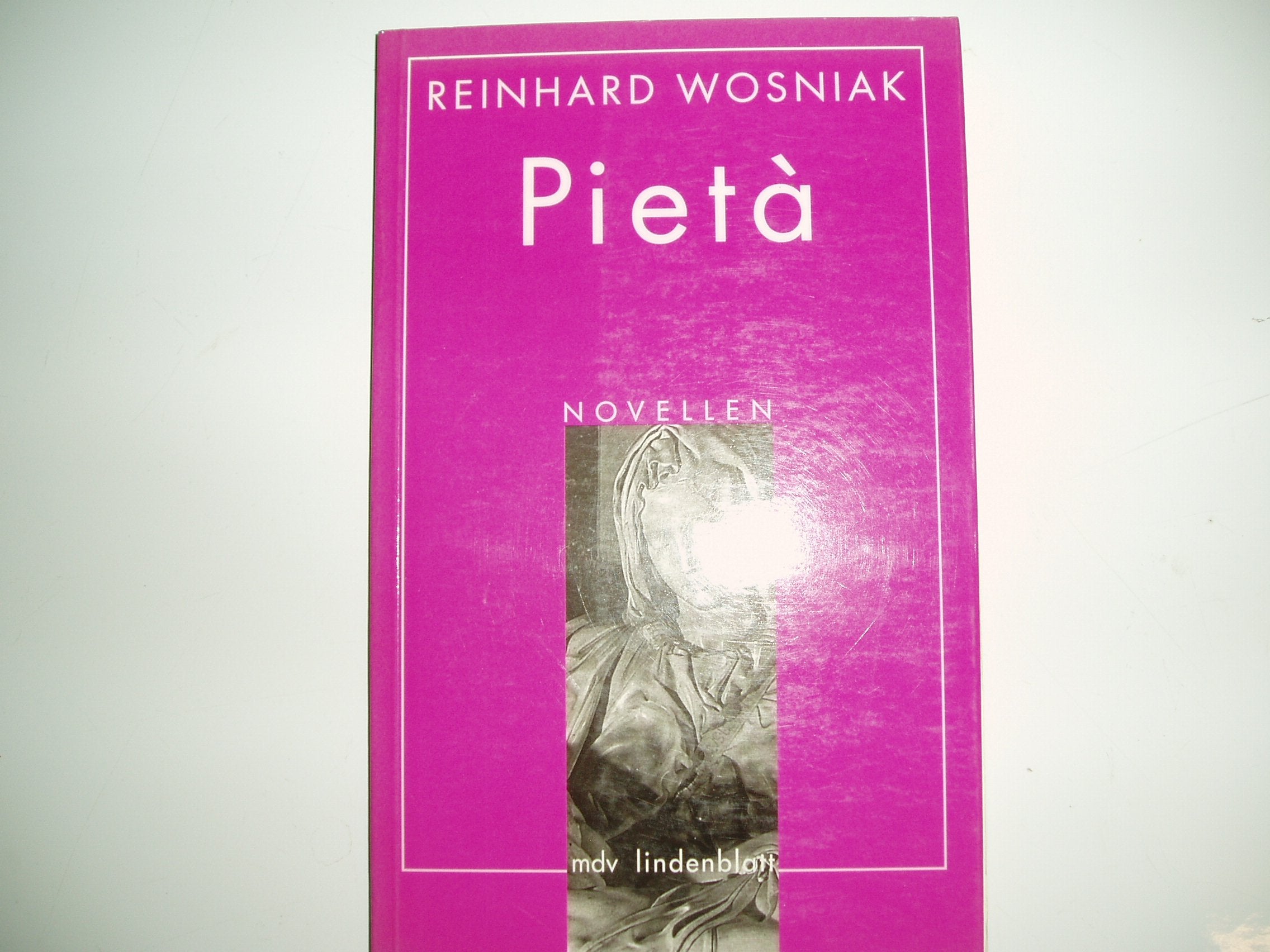 Pieta: Künstlernovellen Fiction