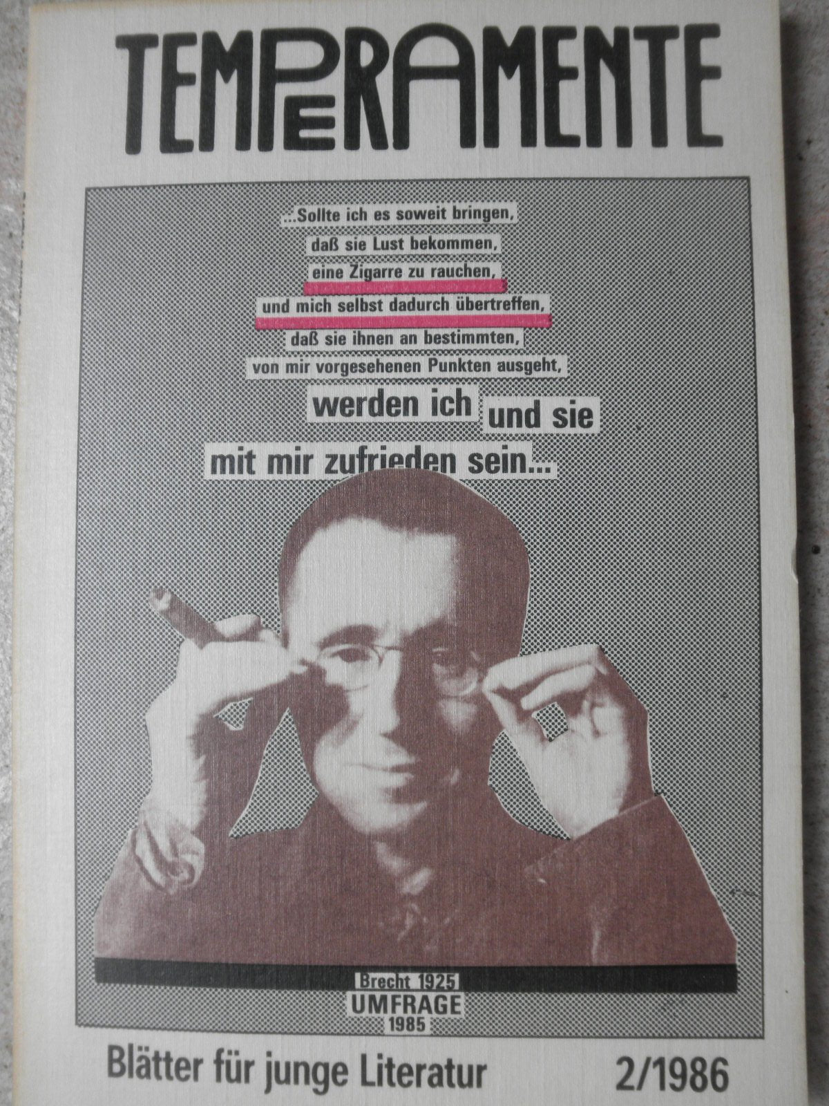 Temperamente / Blätter für junge Literatur 2/1986 Books