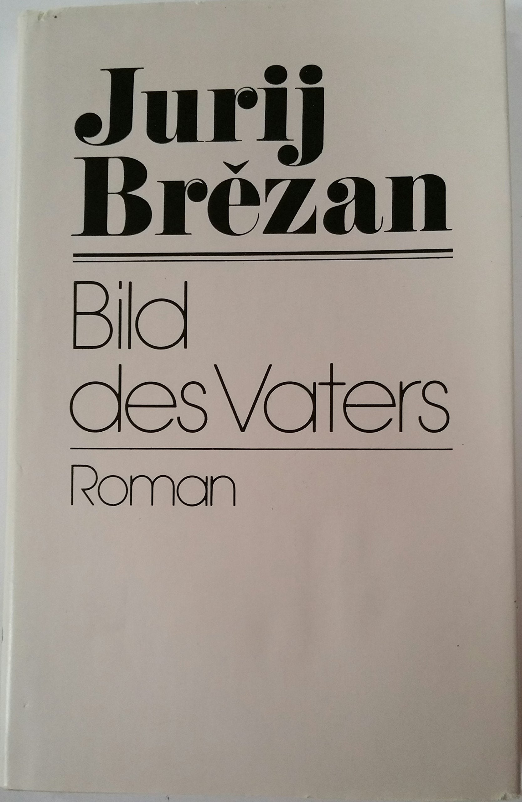 Product Image: Bild des Vaters: Roman