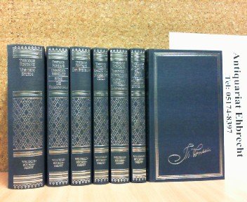 Romane: Irrungen und Wirrungen. Stine. Effi Briest. Der Stechlin Books