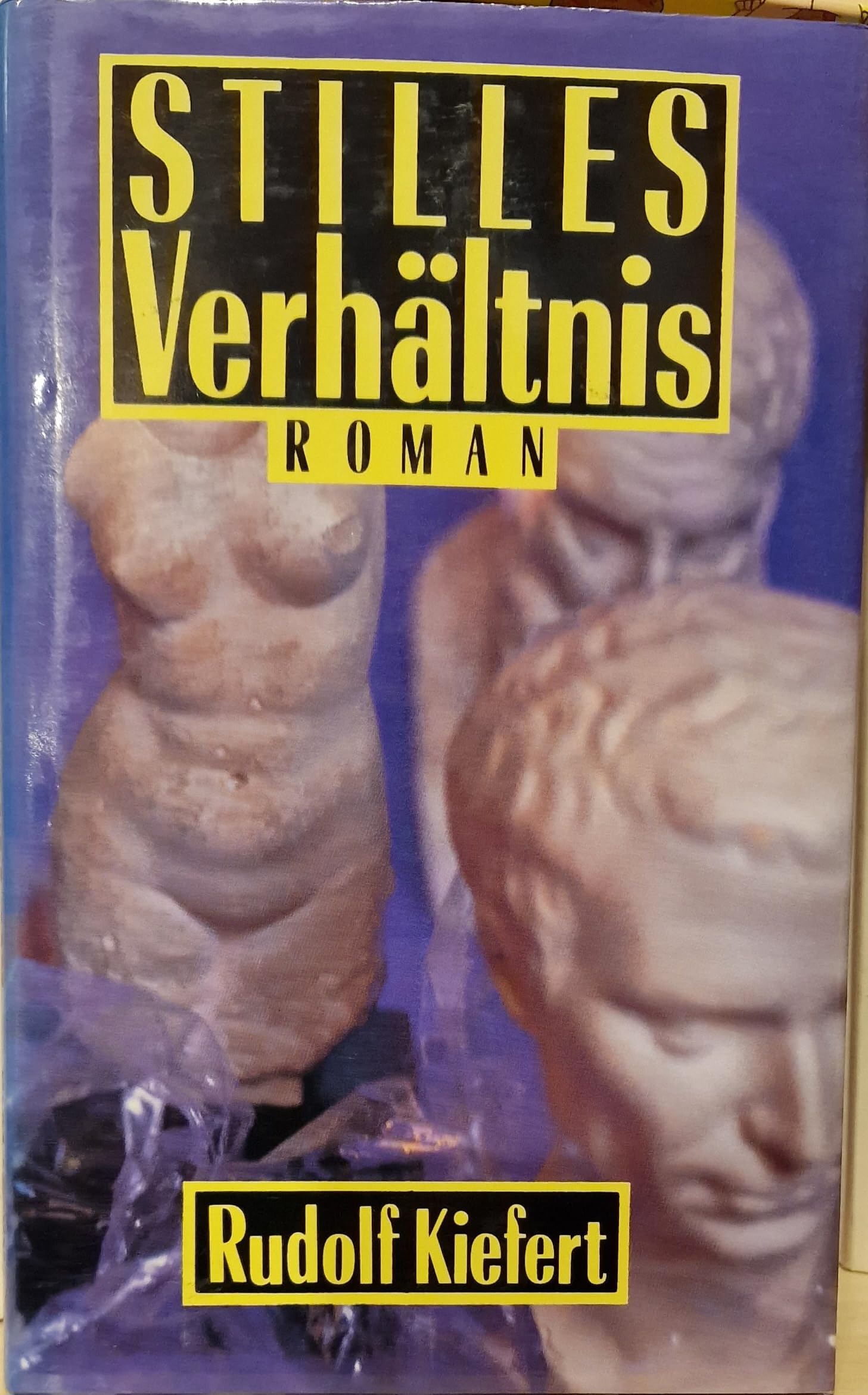 Stilles Verhältnis: Roman Books