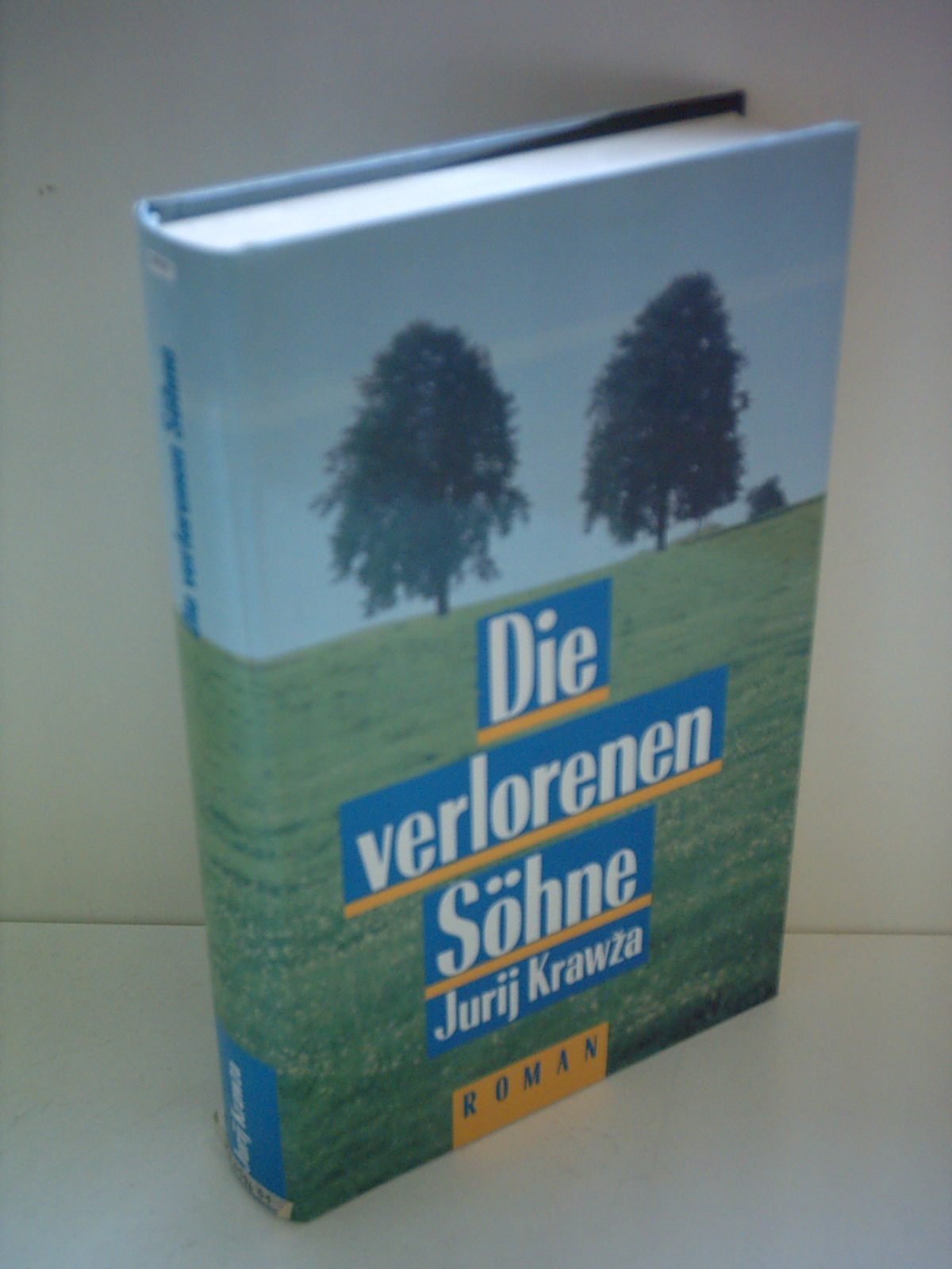 Die verlorenen Söhne: Roman Books