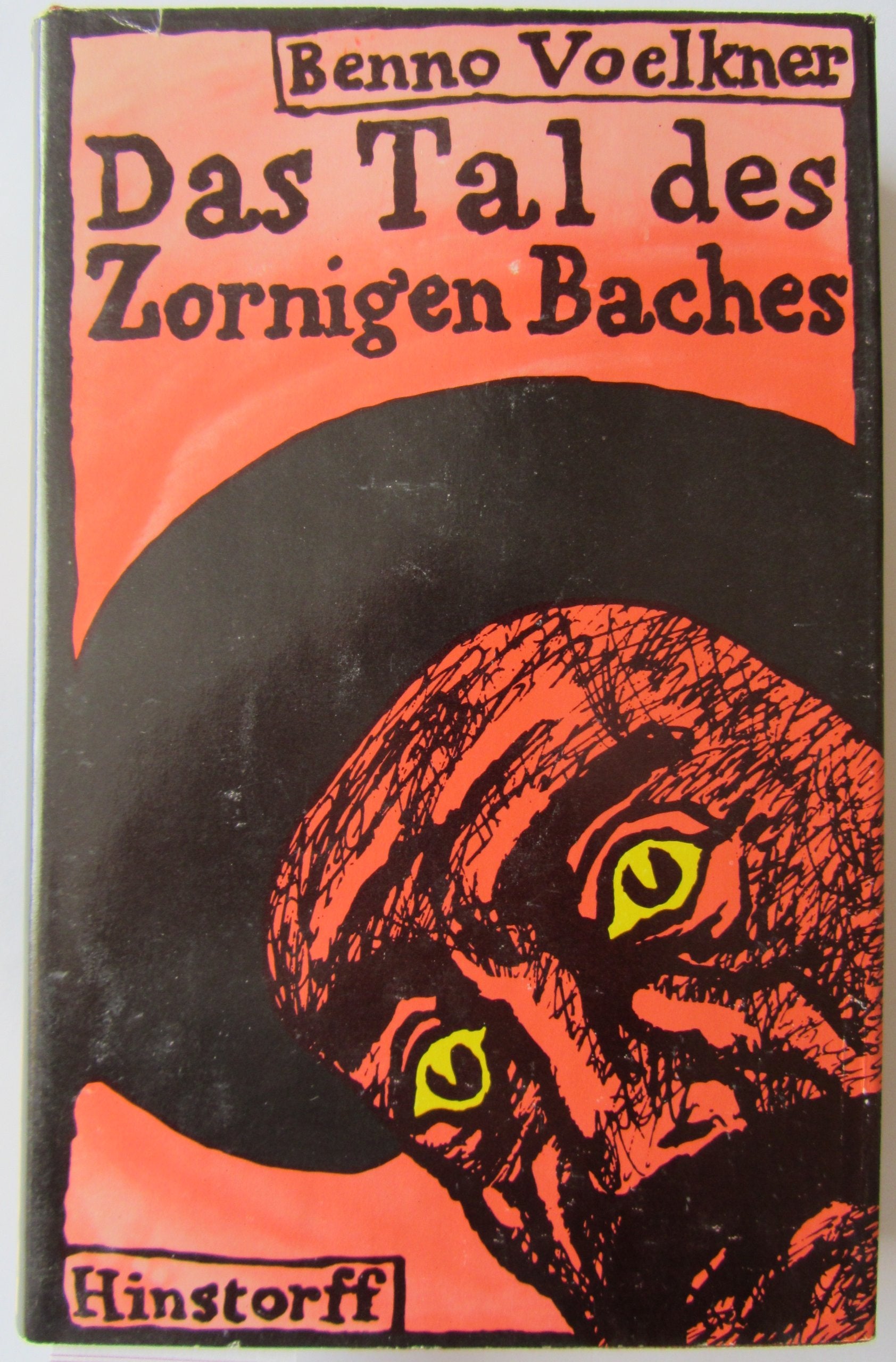 Das Tal des zornigen Baches Contemporary literature