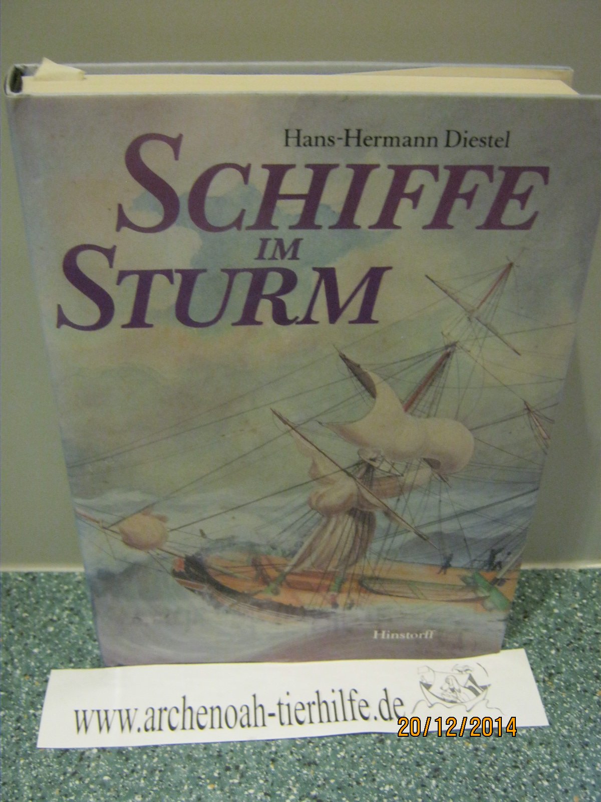 Schiffe im Sturm Business & Technology Books