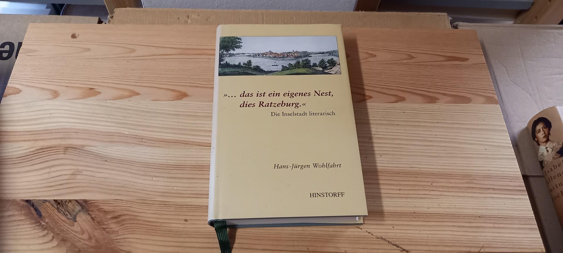 '. . . das ist ein eigenes Nest, dies Ratzeburg' Contemporary literature