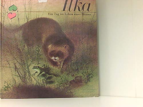 Ilka. Ein Tag im Leben eines Iltisses Books