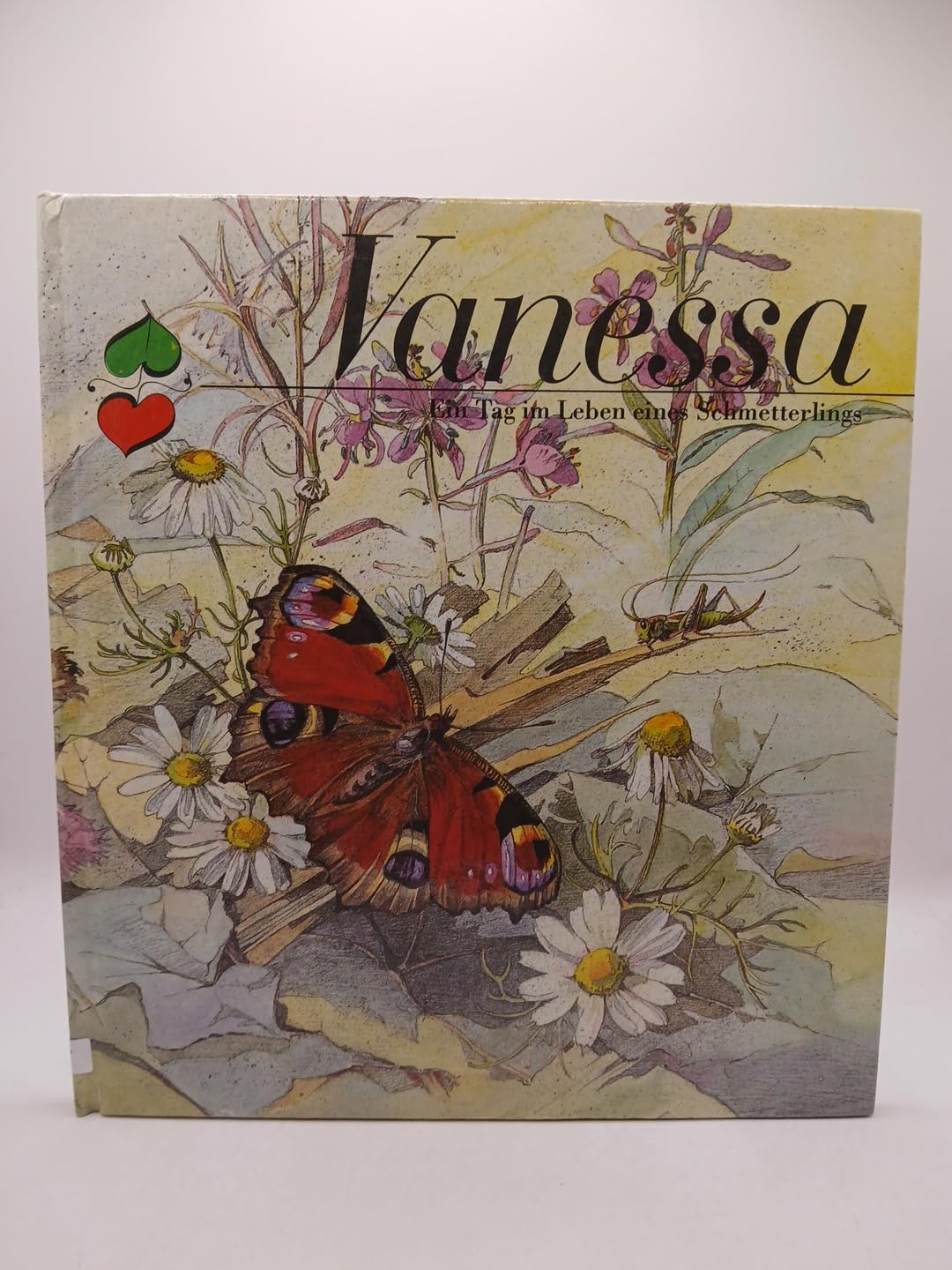 Vanessa. Ein Tag im Leben eines Schmetterlings Books