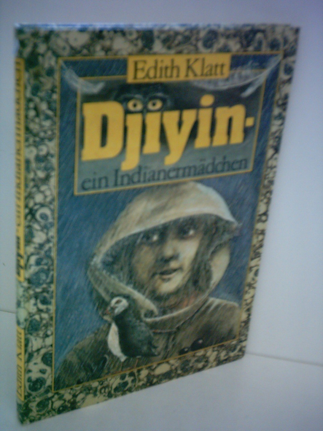 Djiyin - ein Indianermädchen Books