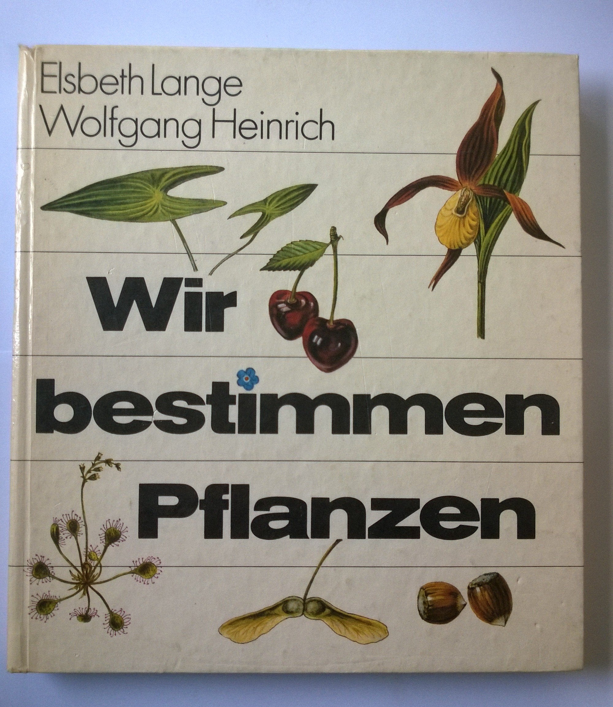 Wir bestimmen Pflanzen. Illustrationen von Hille Blumfeldt, Johannes Breitmeier, Peter Gröbner, Wolfgang Heinrich, Hella Helk u.v.a. Books