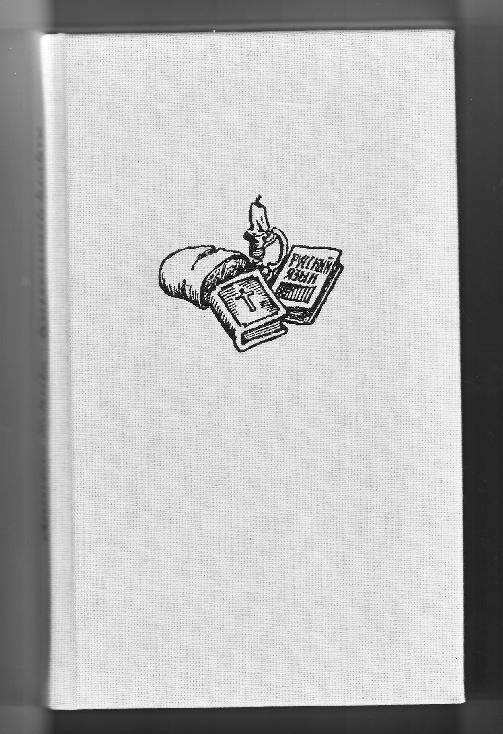 Katzenmilchjahre / Lebenslauf mit großen Füßen Contemporary literature