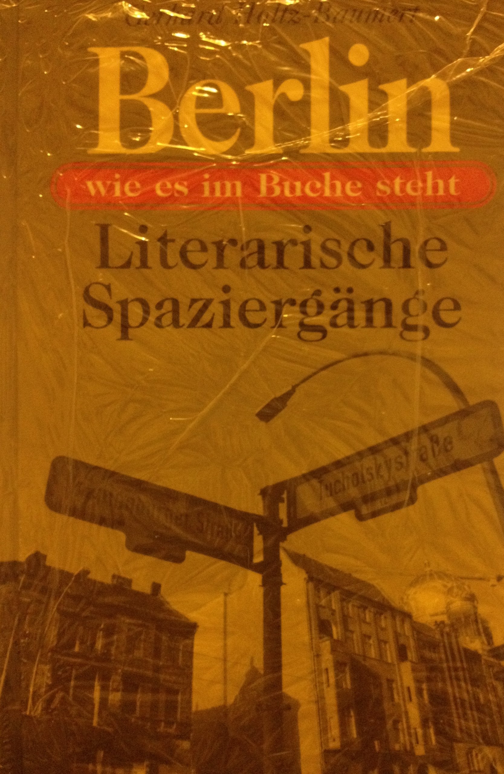 Berlin, wie es im Buche steht. Literarische Spaziergänge Travelogues