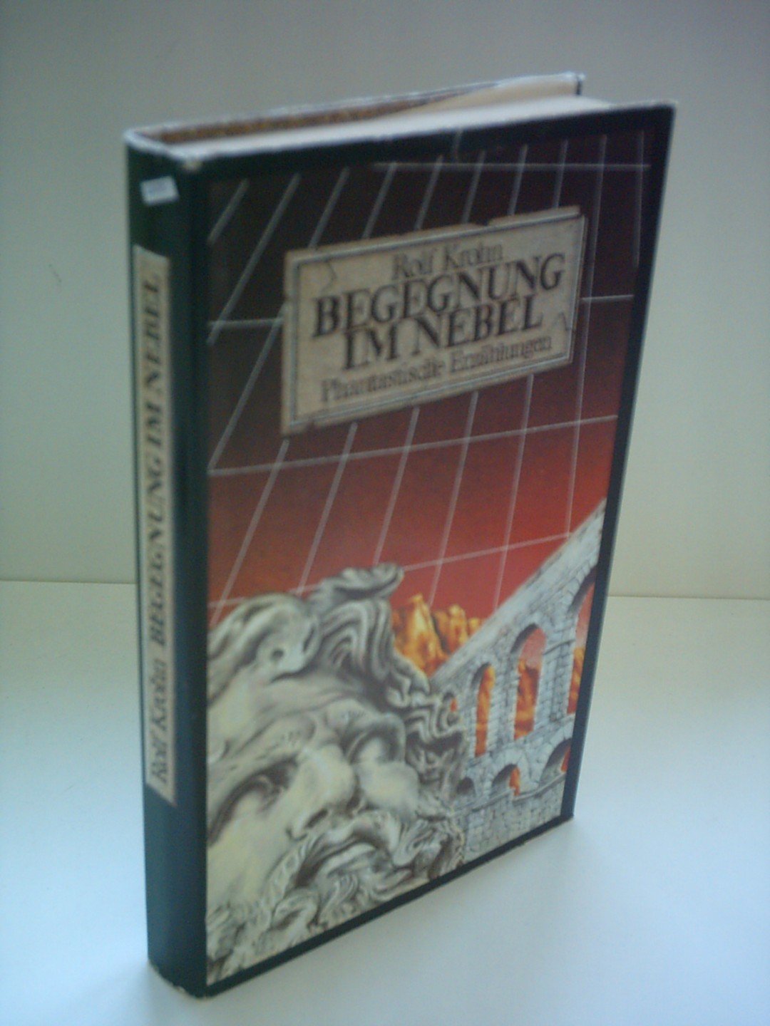 Rolf Krohn: Begegnung im Nebel Books