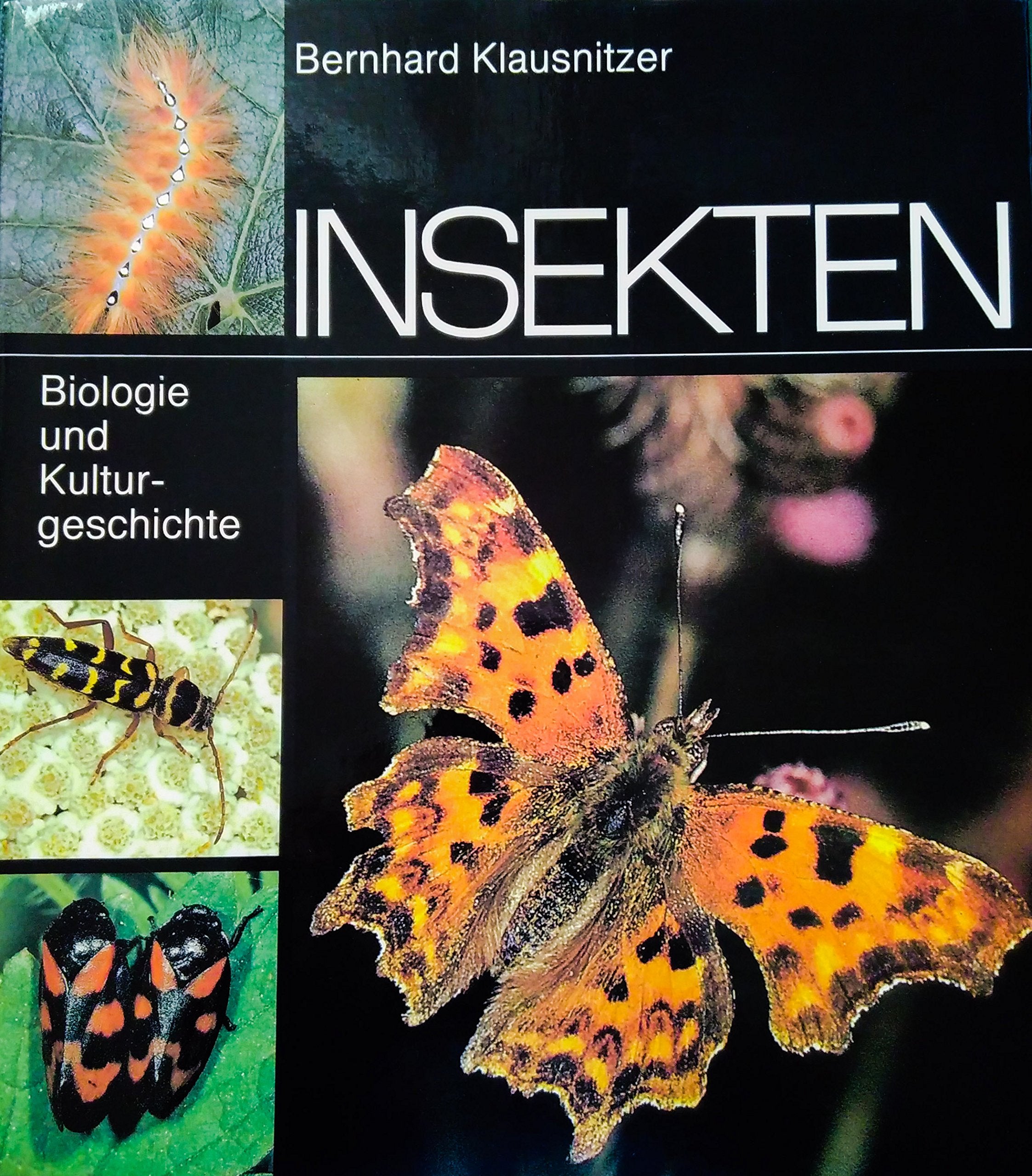 Insekten : Biologie und Kulturgeschichte. Books