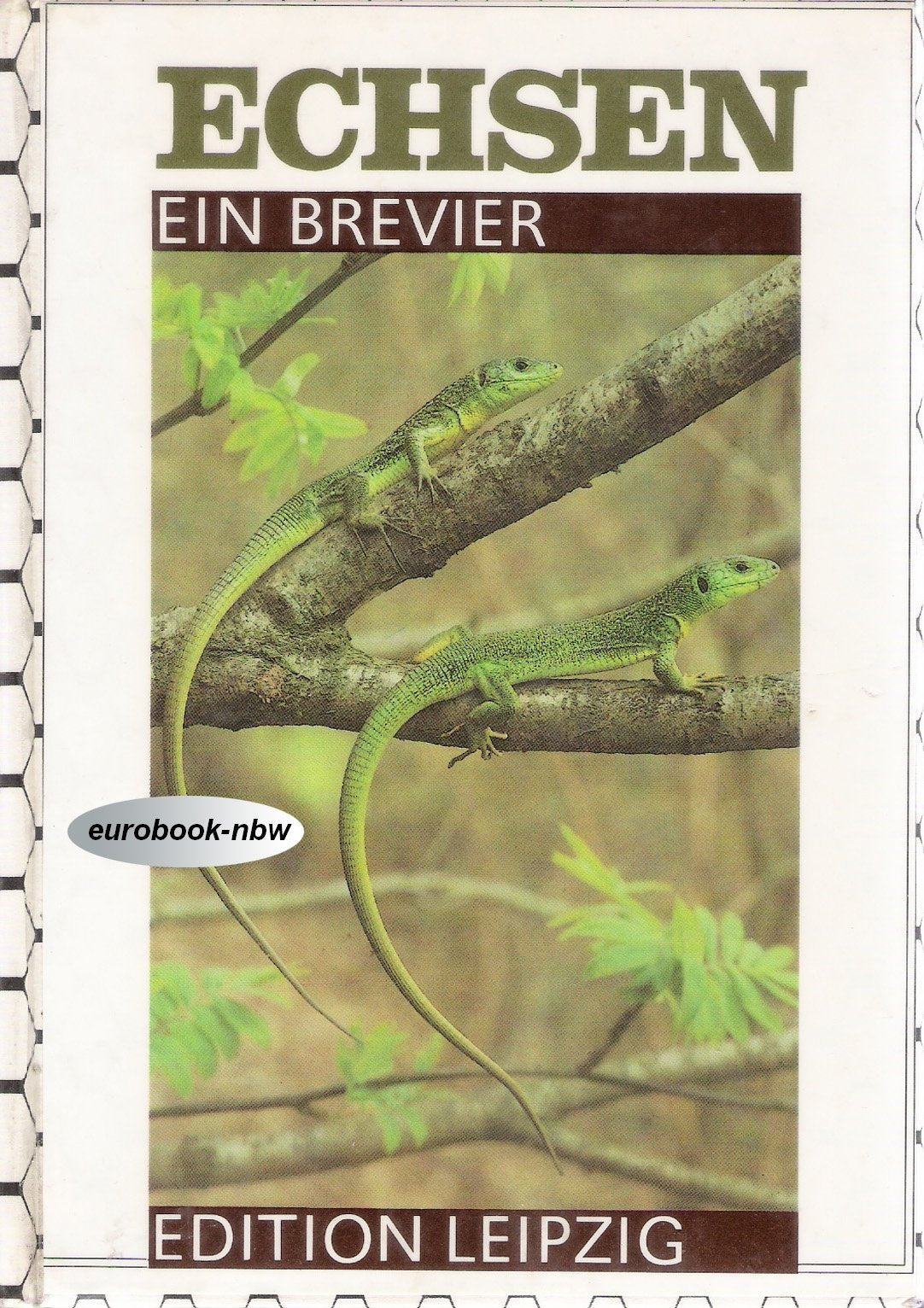 Echsen. Ein Brevier. Books