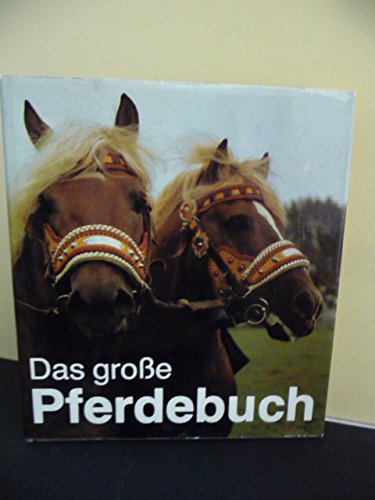 Das große Pferdebuch Pets