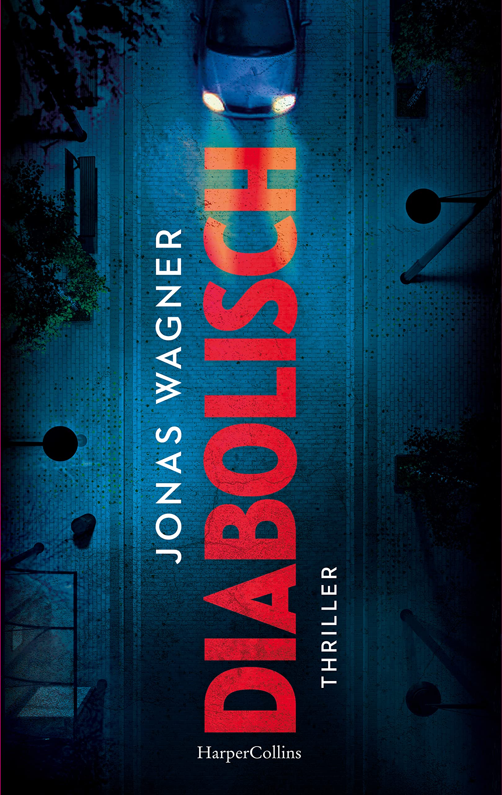 Diabolisch Contemporary literature Books
